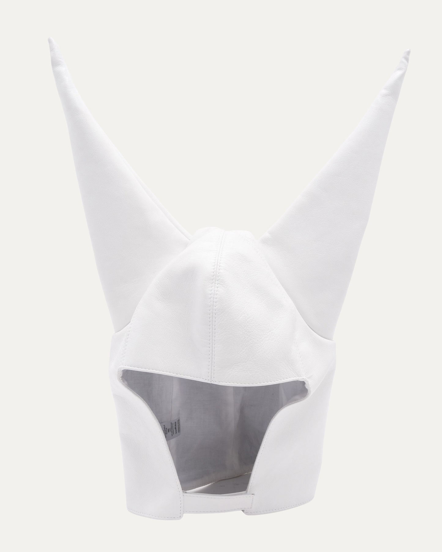 Leather Dunce Cap