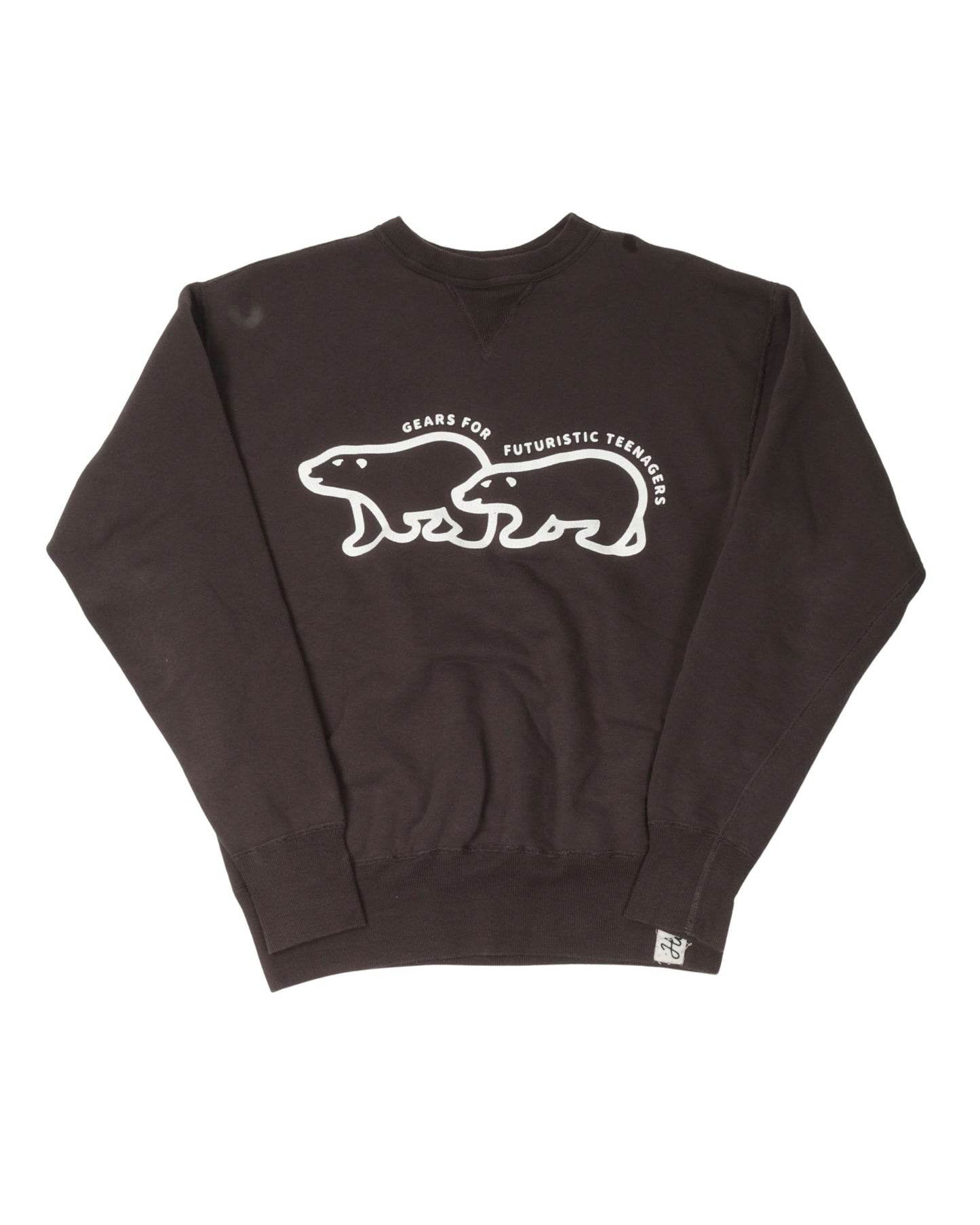 Polar Bear Sweatshirt