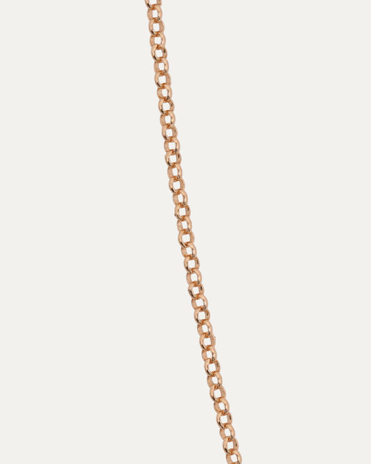 Gold Roll Chain Necklace