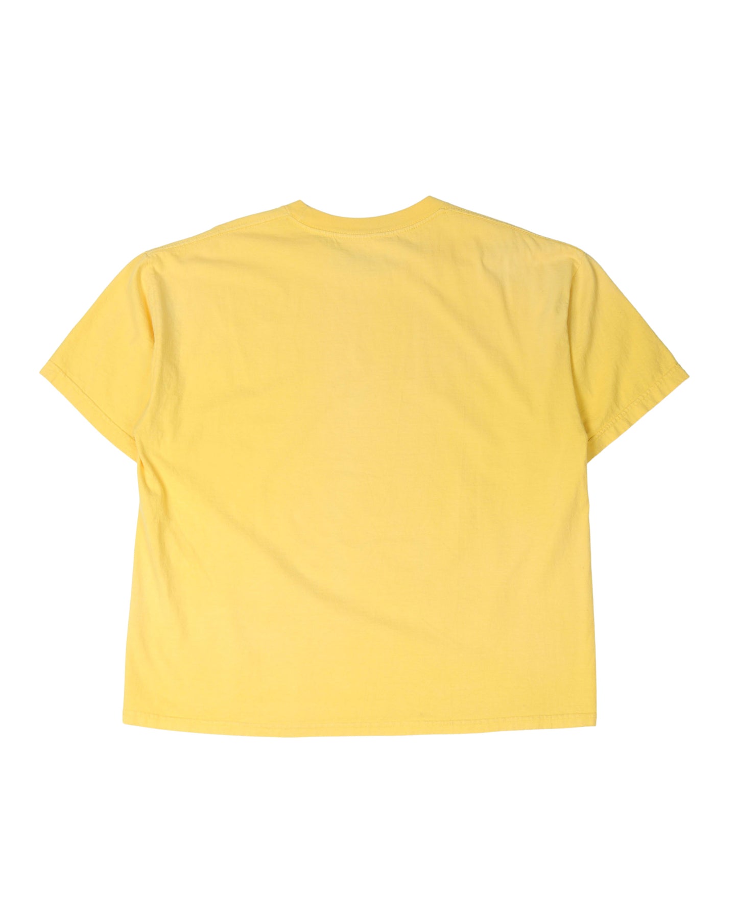 Björk '96 Tour T-Shirt