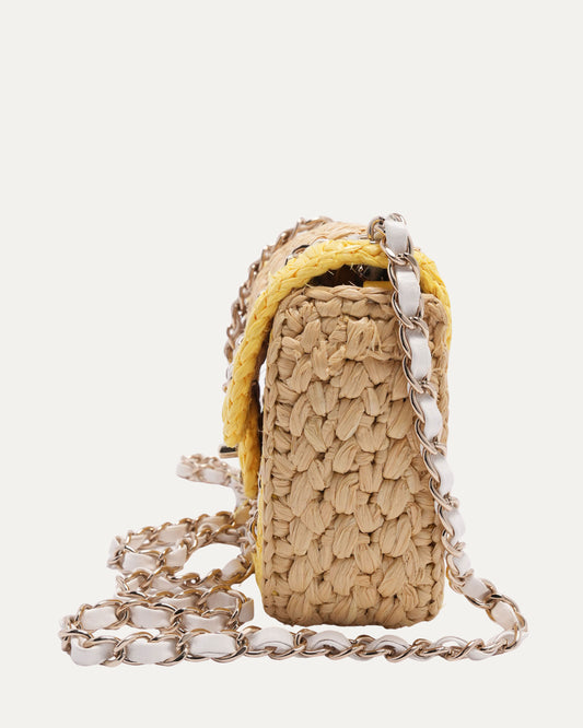 Raffia Chain Venice Beach Mini Flap Bag