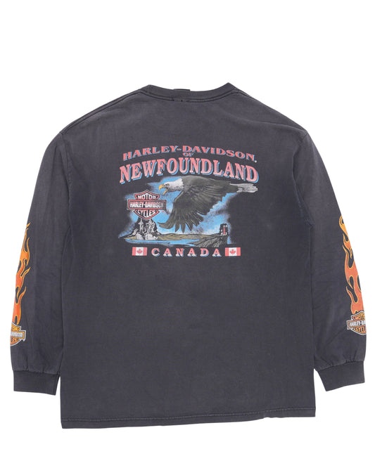 Harley Davidson Flames Long Sleeve T-Shirt