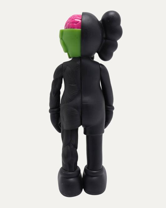 Companion Dissected 2006 Edition