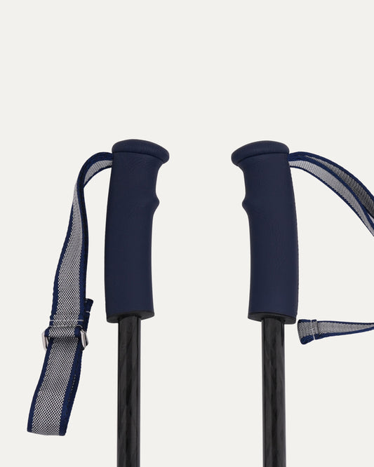 Ski Poles