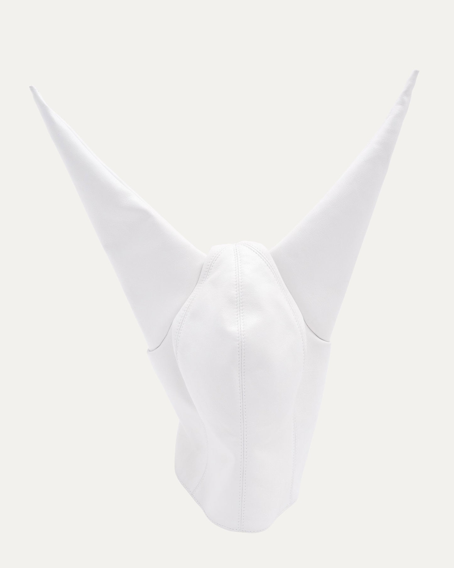 Leather Dunce Cap