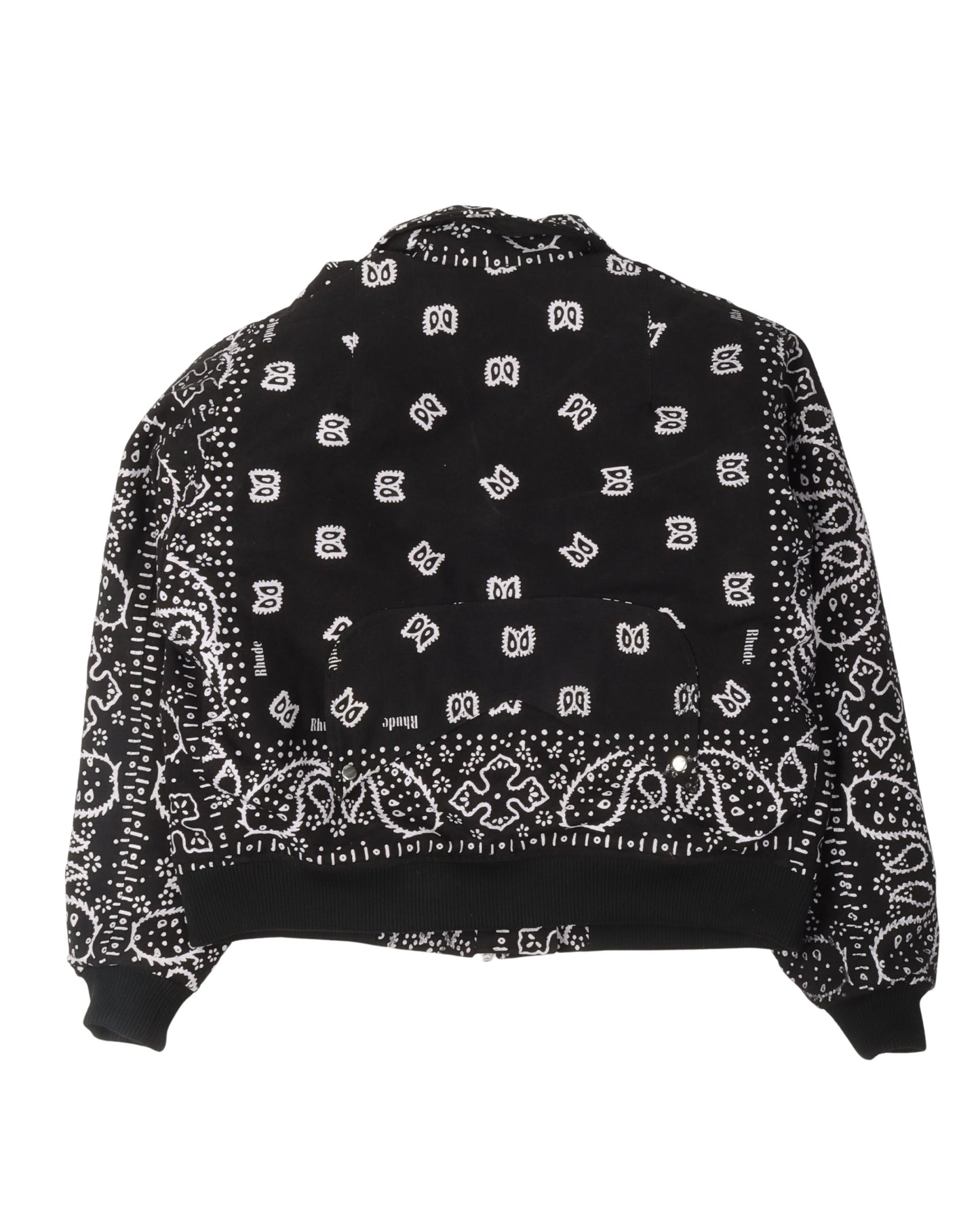 Paisley Print Canvas Jacket