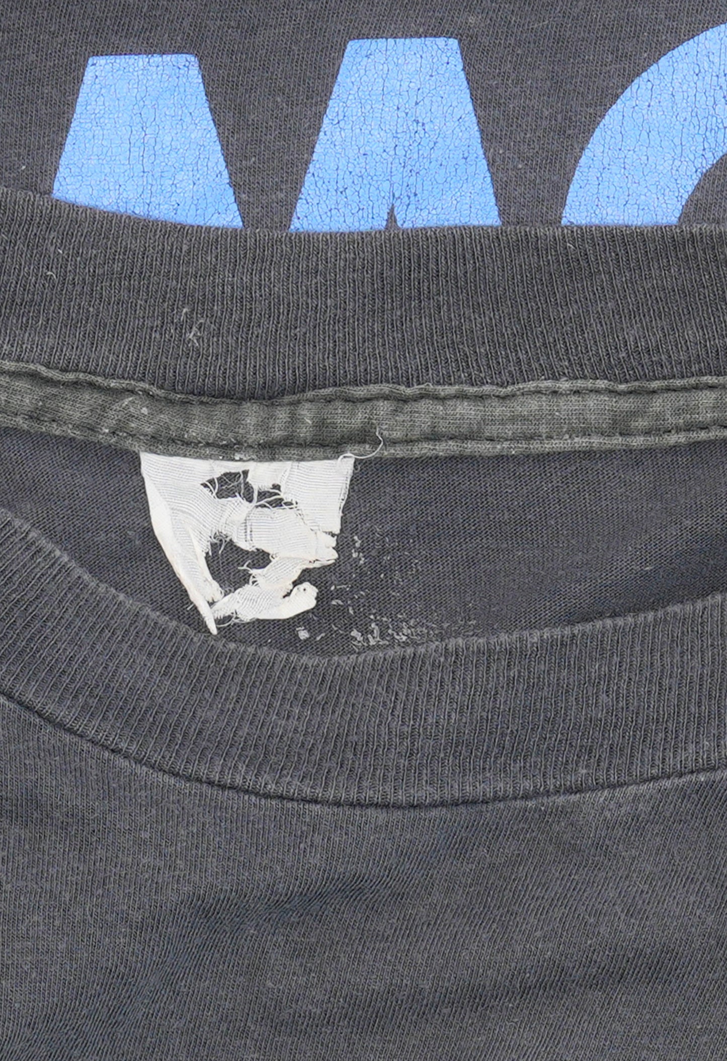 Iggy Pop 'Raw Fucking Power' T-Shirt