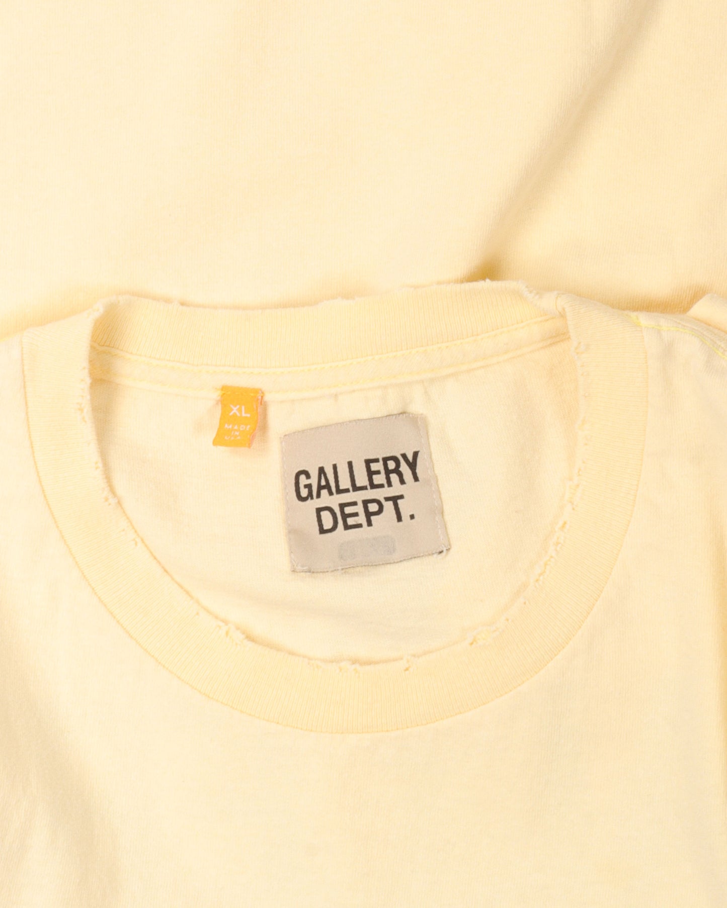 "Palm Springs" T-Shirt