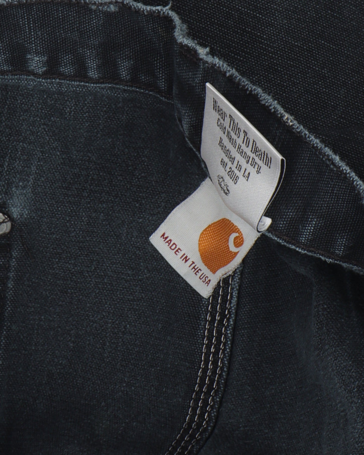 Carhartt Double Knee Carpenter Pants