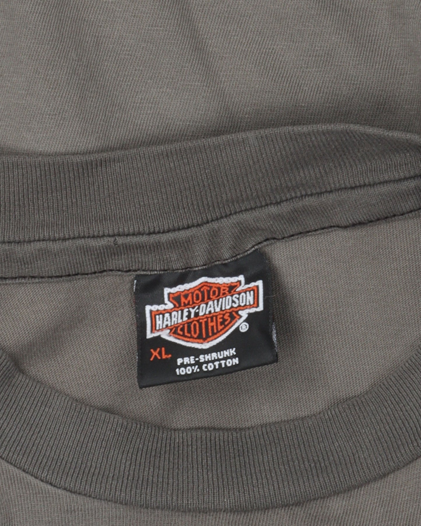 Harley Davidson Blue Flame Logo T-Shirt