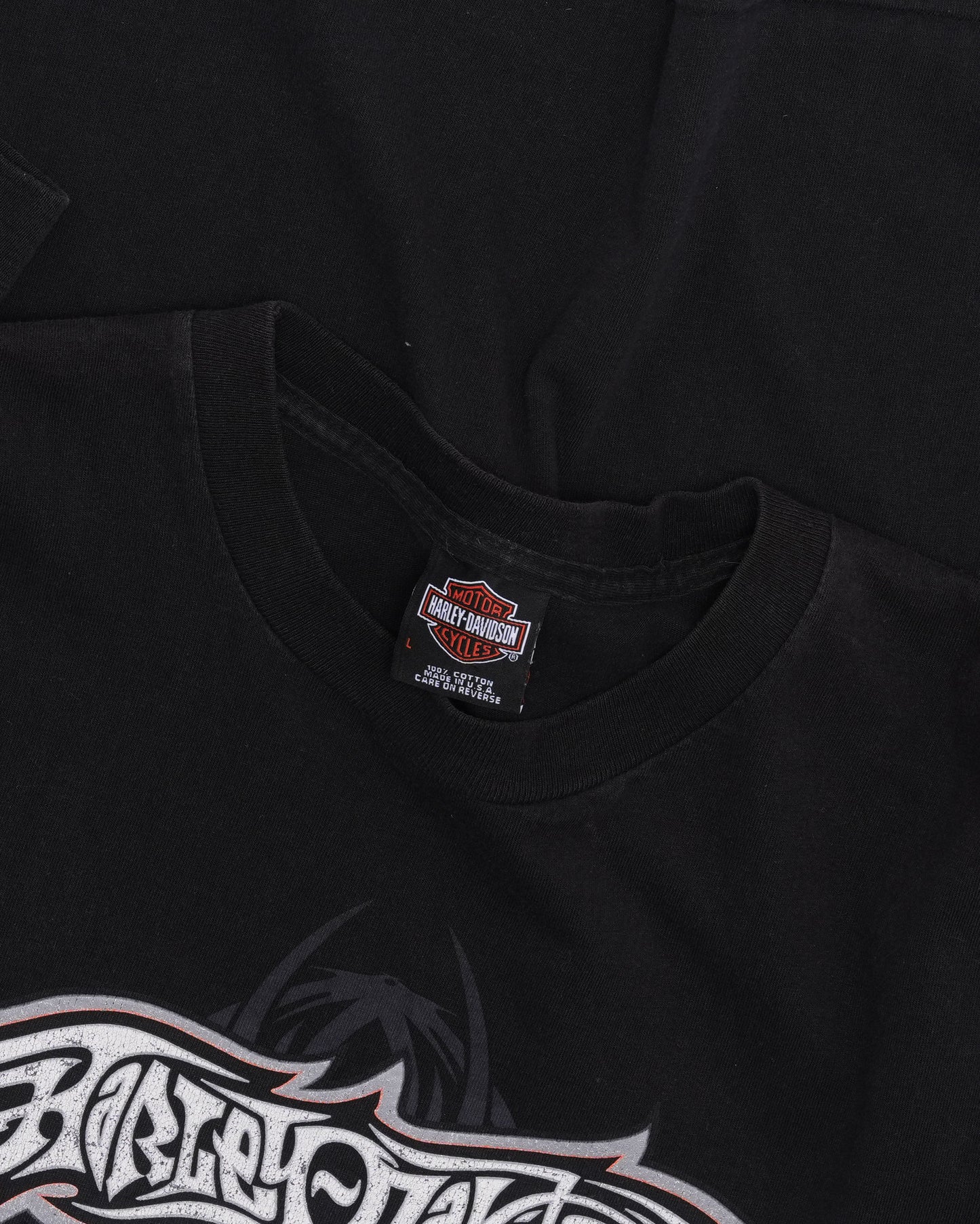 Harley Davidson Schoch, PA Spider Web Long Sleeve T-Shirt