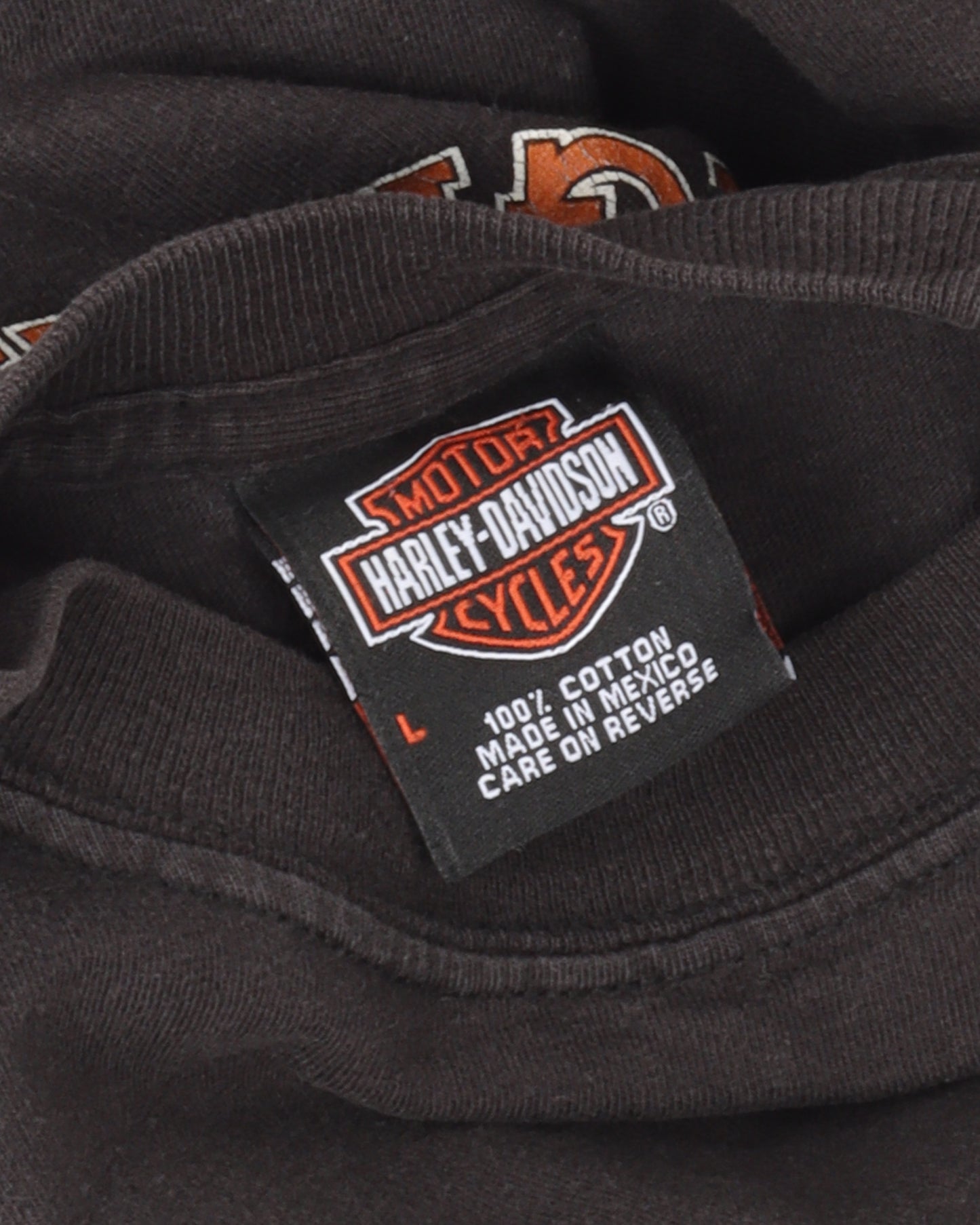 Harley Davidson Flames Long Sleeve T-Shirt