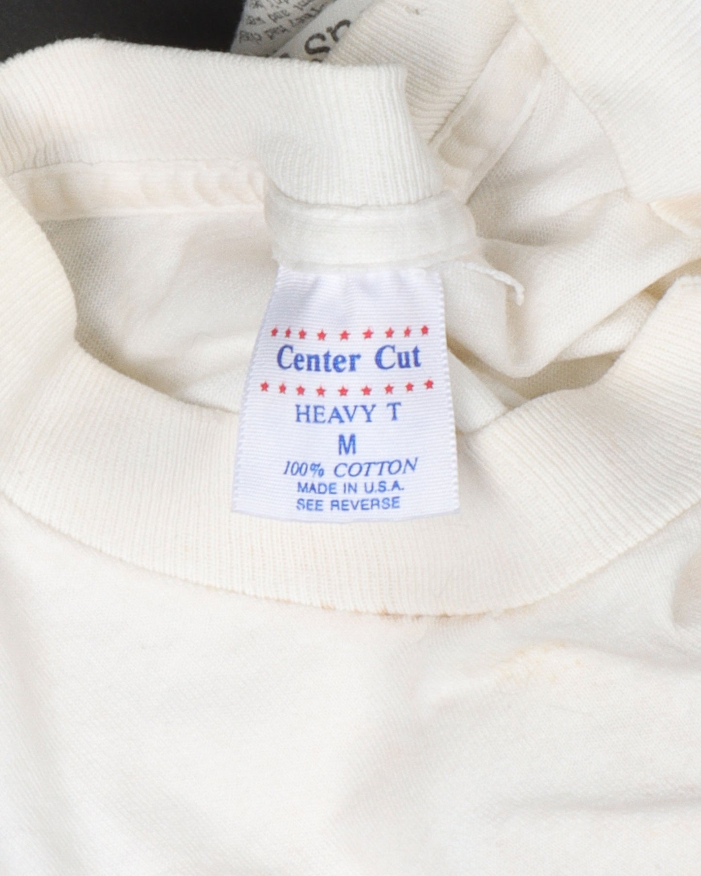 Birmingham Alabama Snow Storm T-Shirt