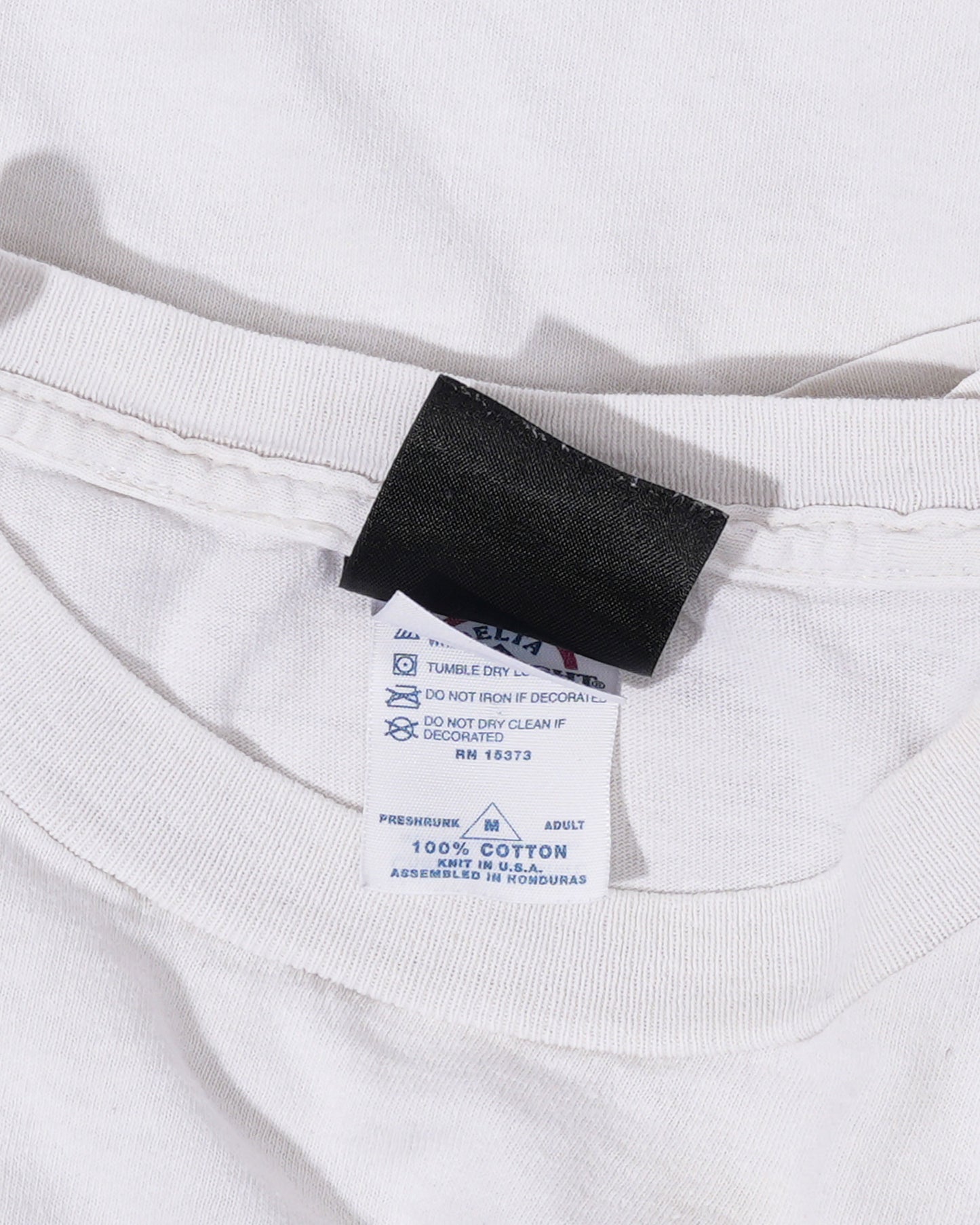 Nelly Nellyville Album Cover T-Shirt