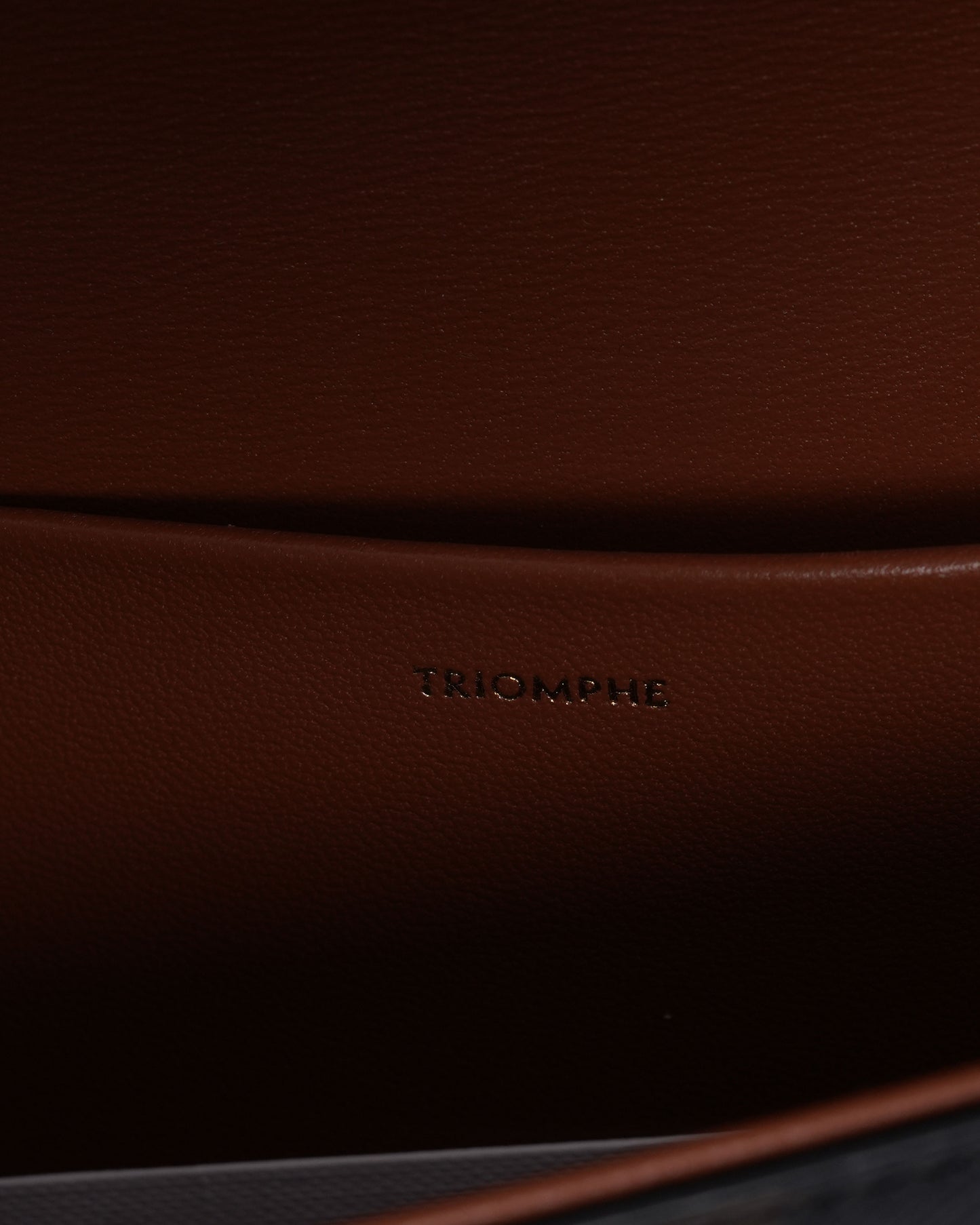 Triomphe Claude Shoulder Bag