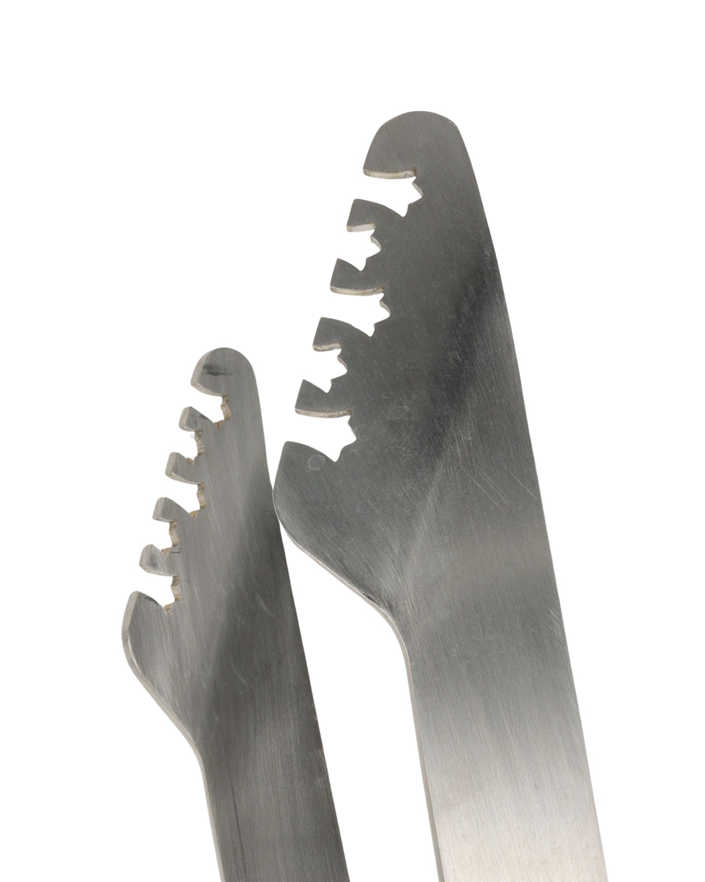 Stainless Steel Tongs
