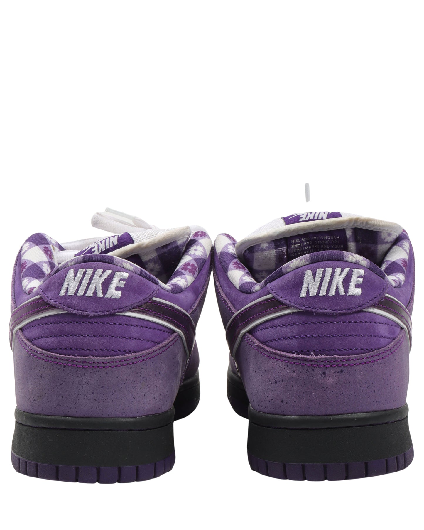 Concepts Purple Lobster SB Dunk