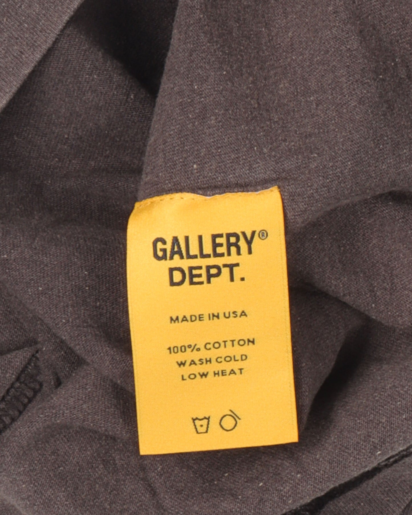 Flying Brain T-Shirt