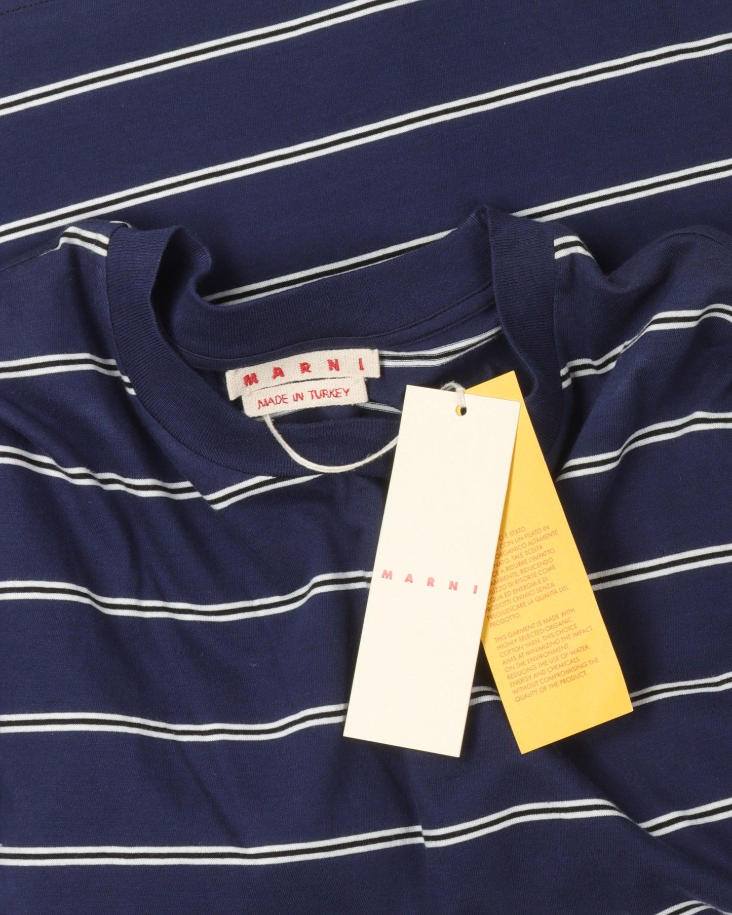 Stripe Print T-Shirt