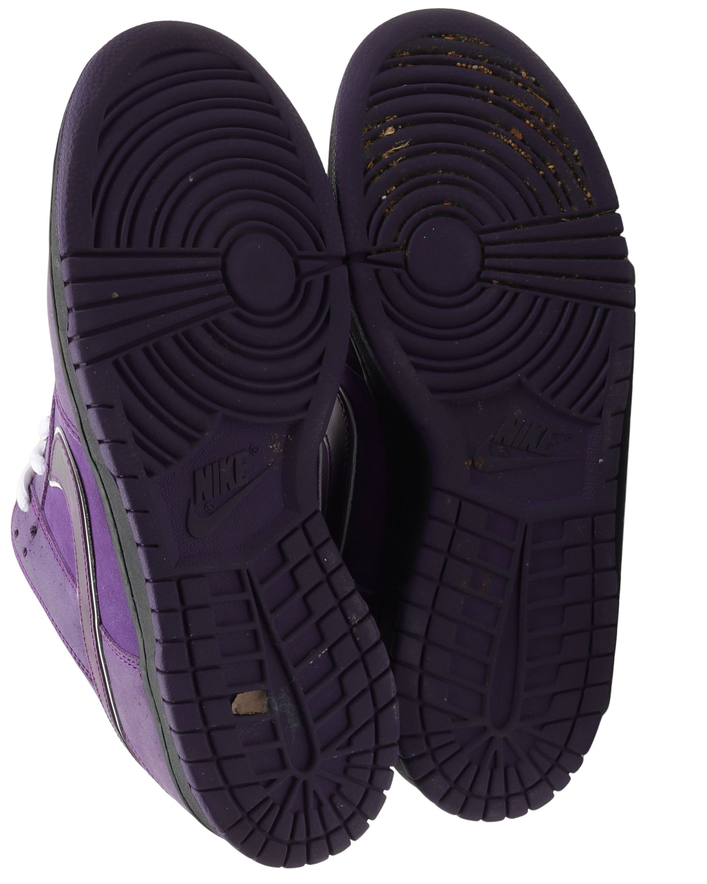 Concepts Purple Lobster SB Dunk
