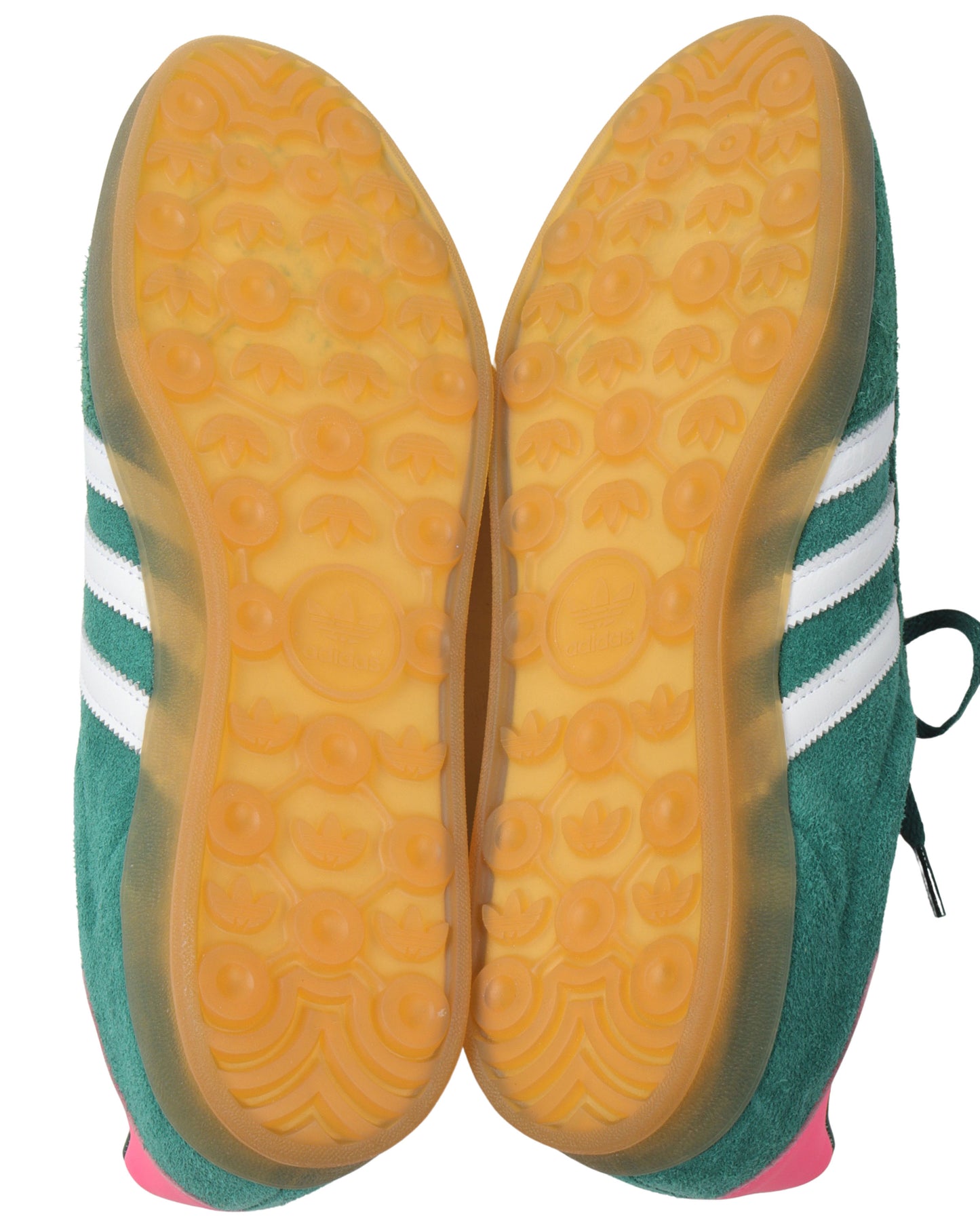 Gazelle Indoor Collegiate