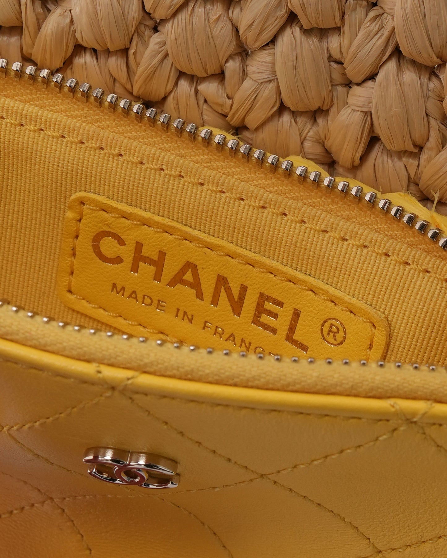 Raffia Chain Venice Beach Mini Flap Bag