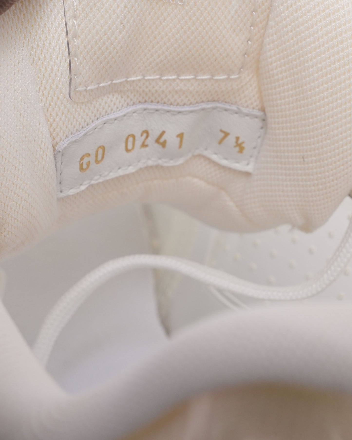 LV Trainers
