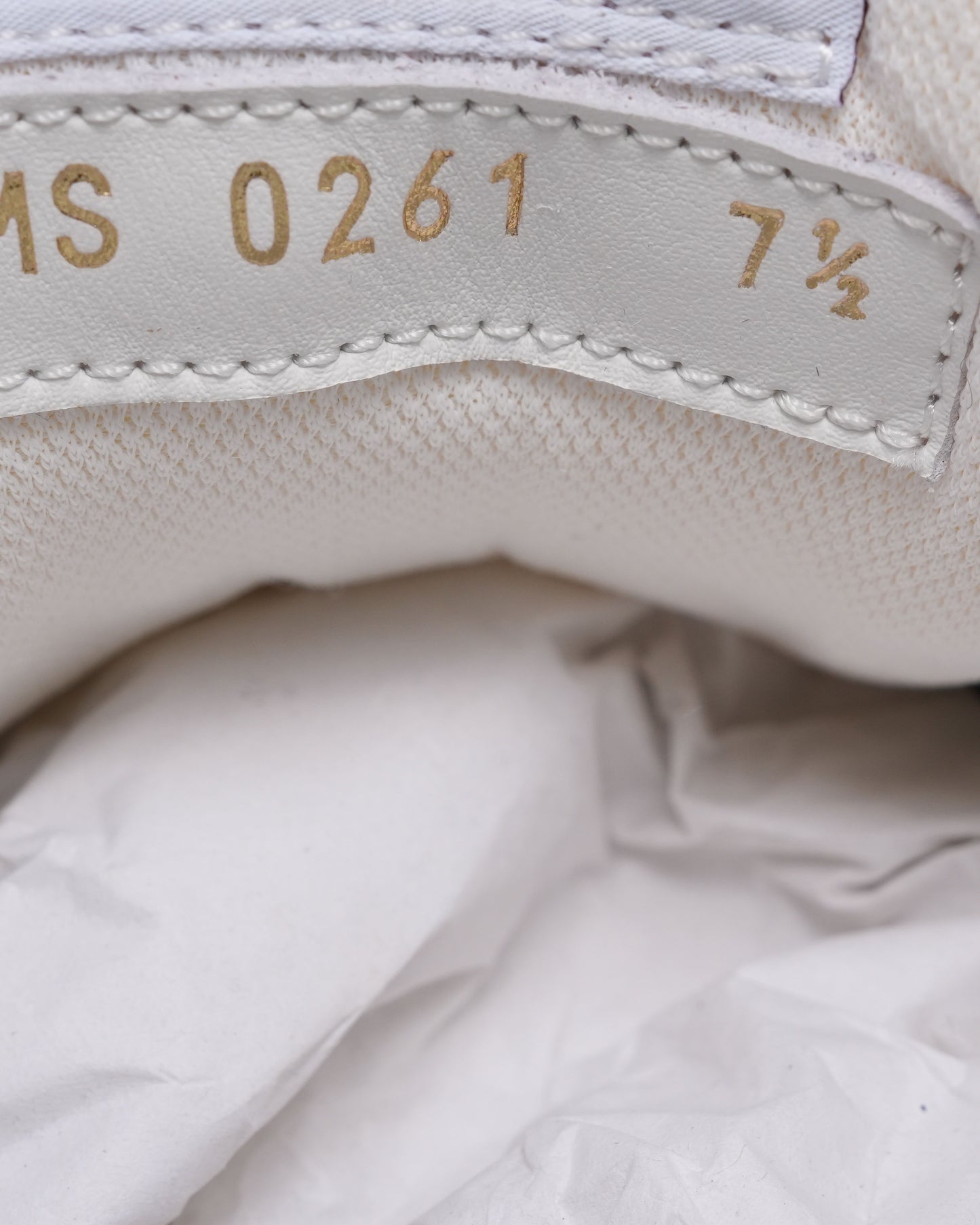 LV Trainers
