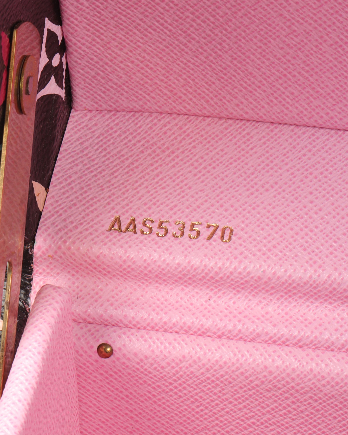 Murakami Monogram Boite Pharmacie Trunk