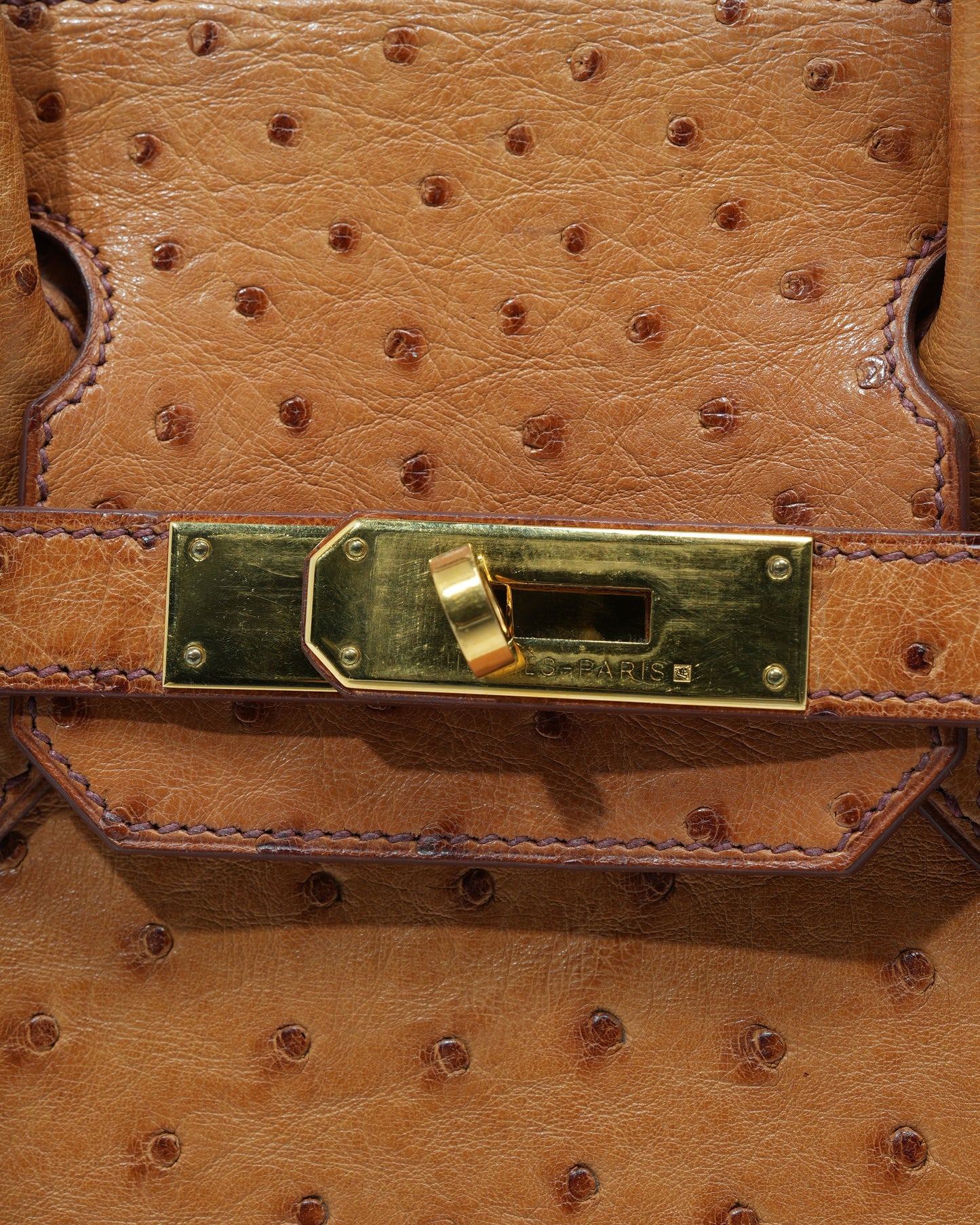 Cognac Ostrich Birkin 30