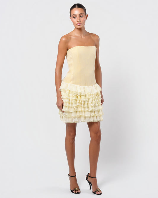 SS 2005 Runway Silk Chiffon Dress