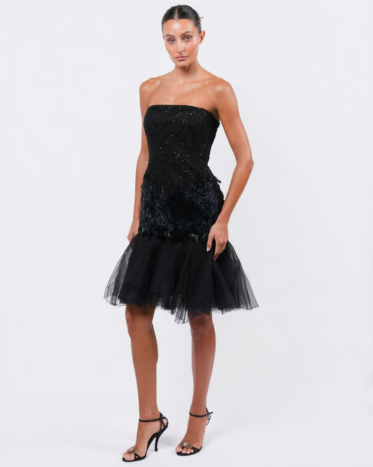 FW 2008 Beaded Dress with Feather and Tulle Detail