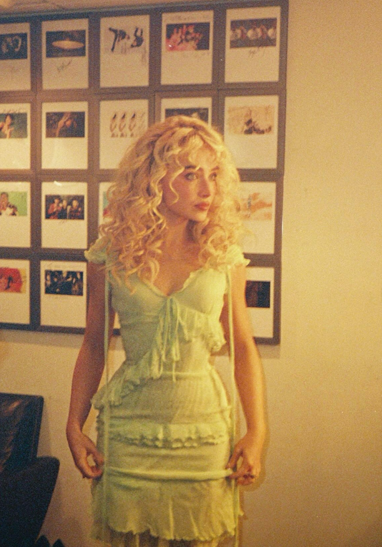 Sheer Ruffled Mini Dress
