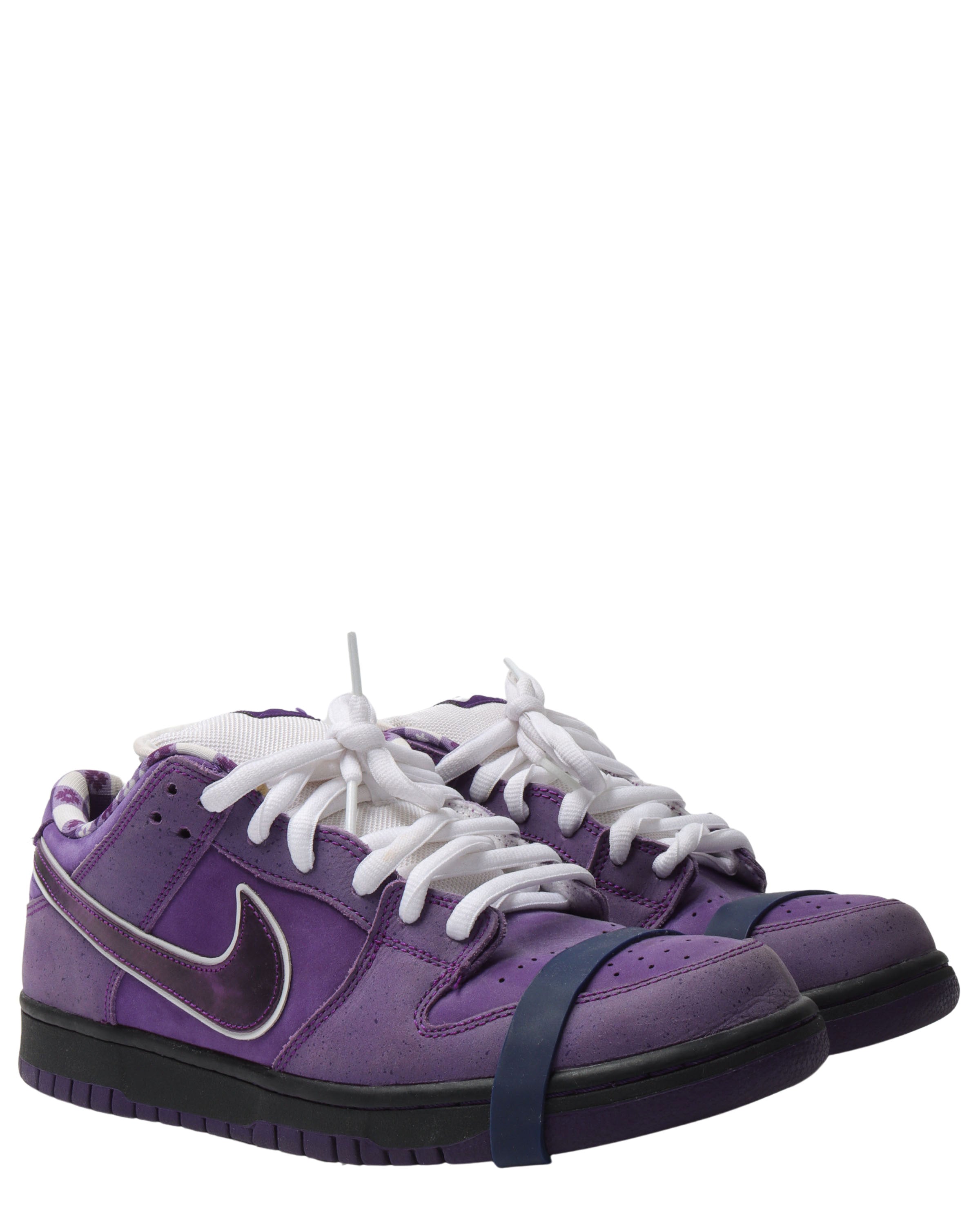Nike Concepts Purple Lobster SB Dunk