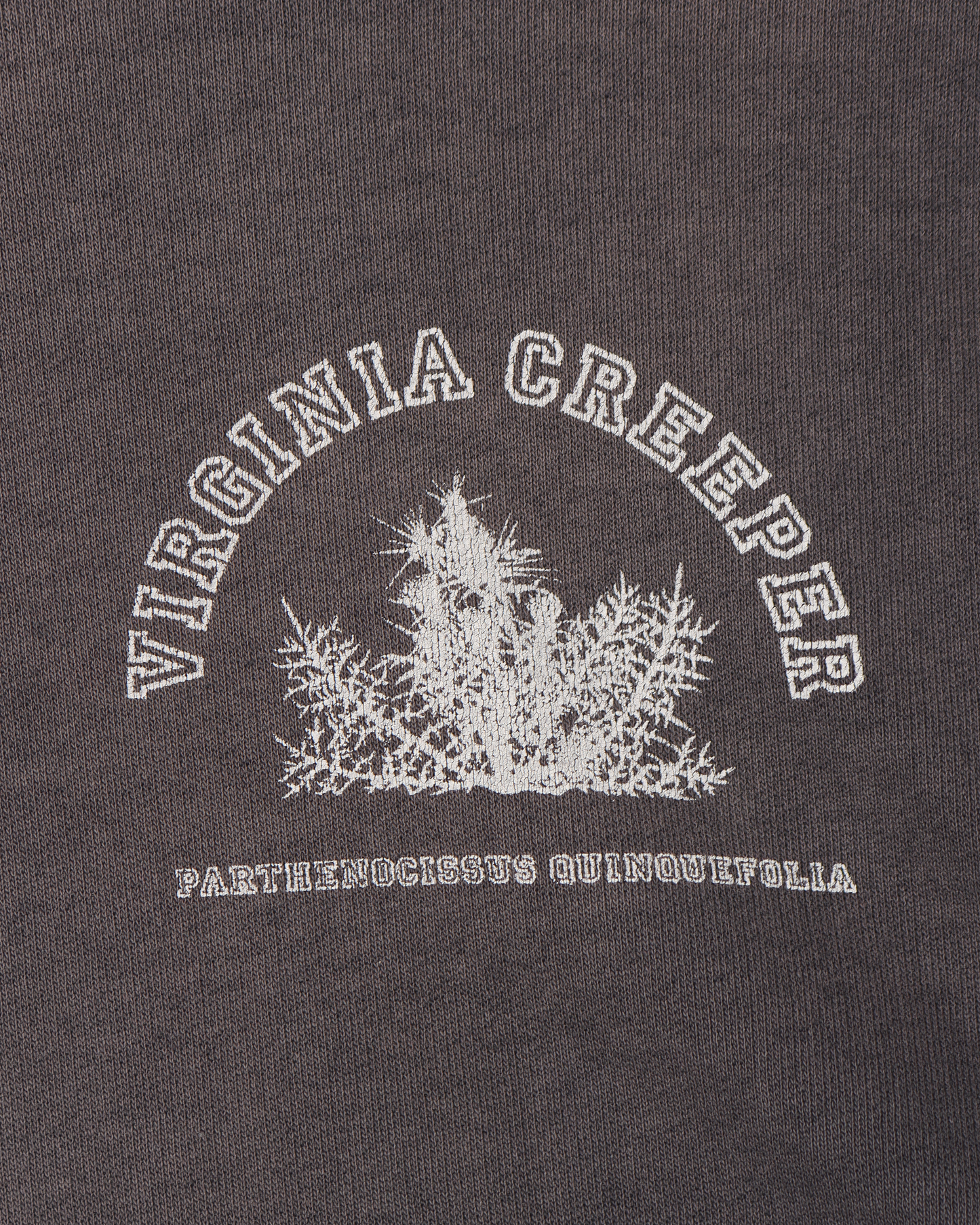 AW02 Virginia Creeper Hoodie