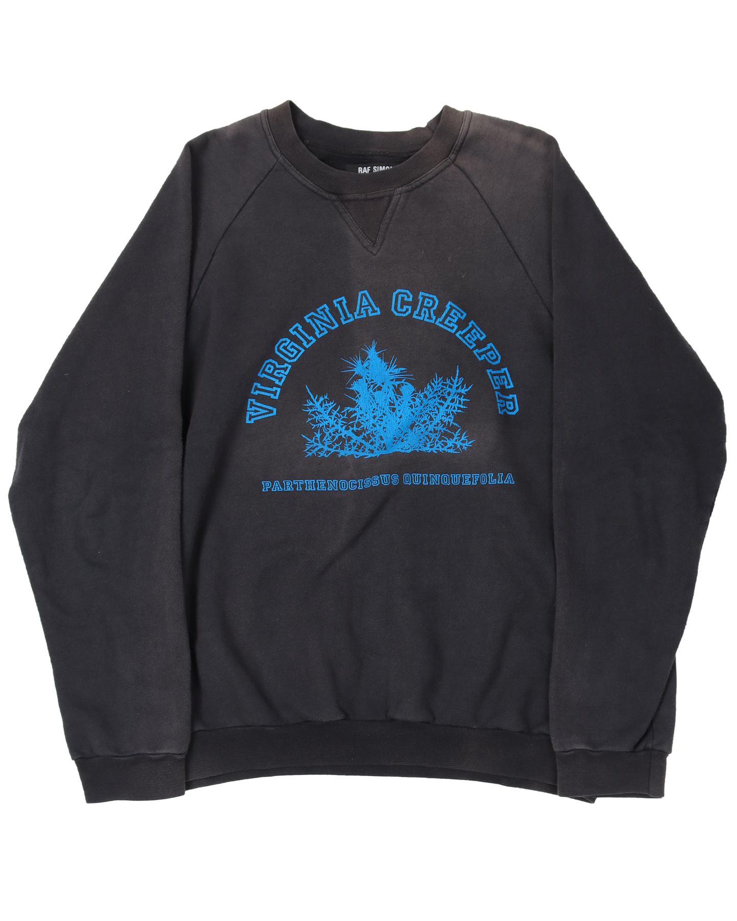 AW02 Virginia Creeper Crewneck Sweatshirt