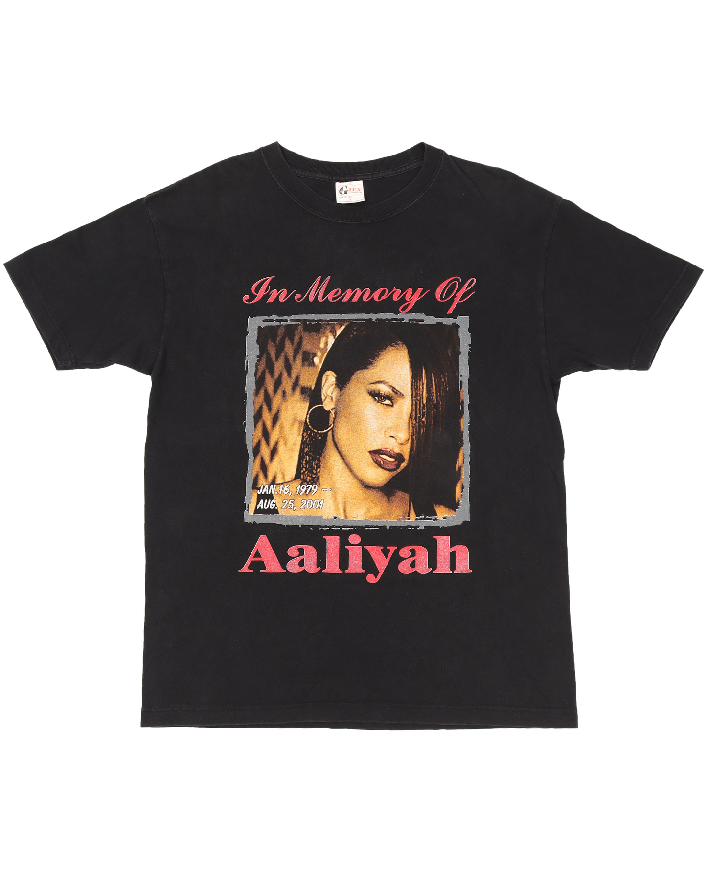 Aaliyah 'Try Again' Tribute Graphic Print T-Shirt