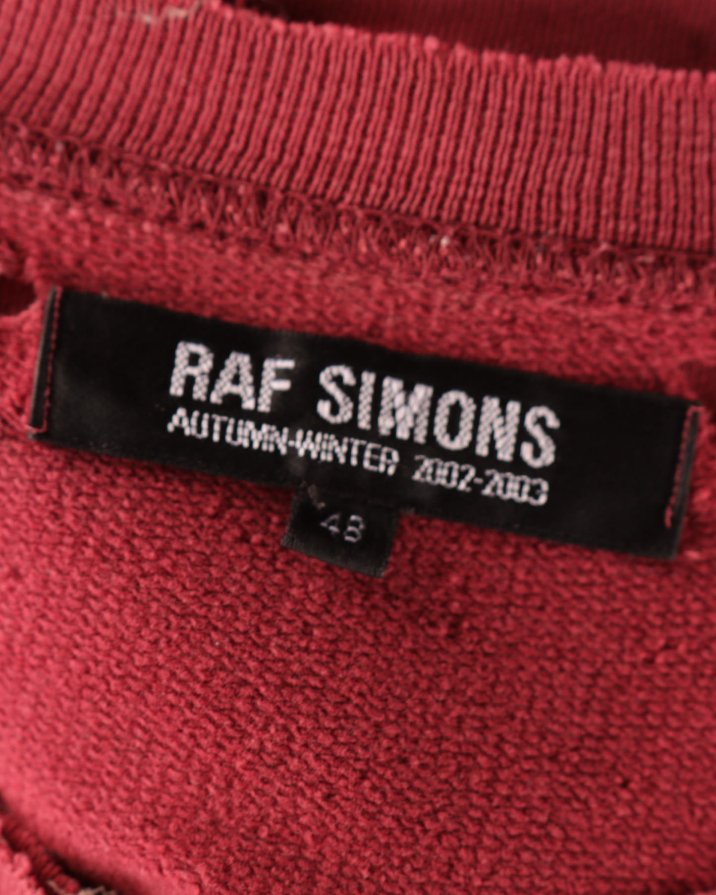 AW02 Virginia Creeper Crewneck Sweatshirt