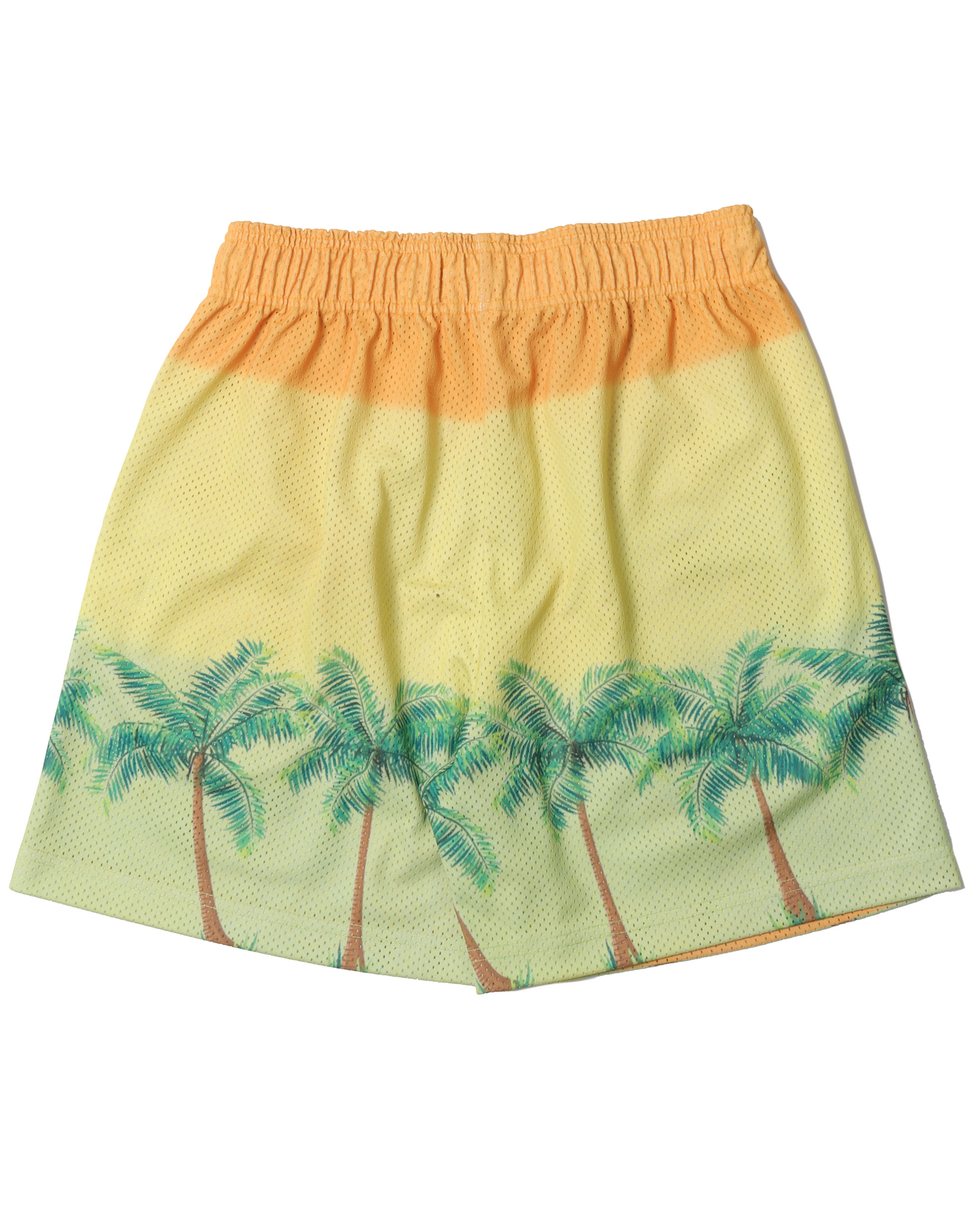 Sunshine Gym Shorts