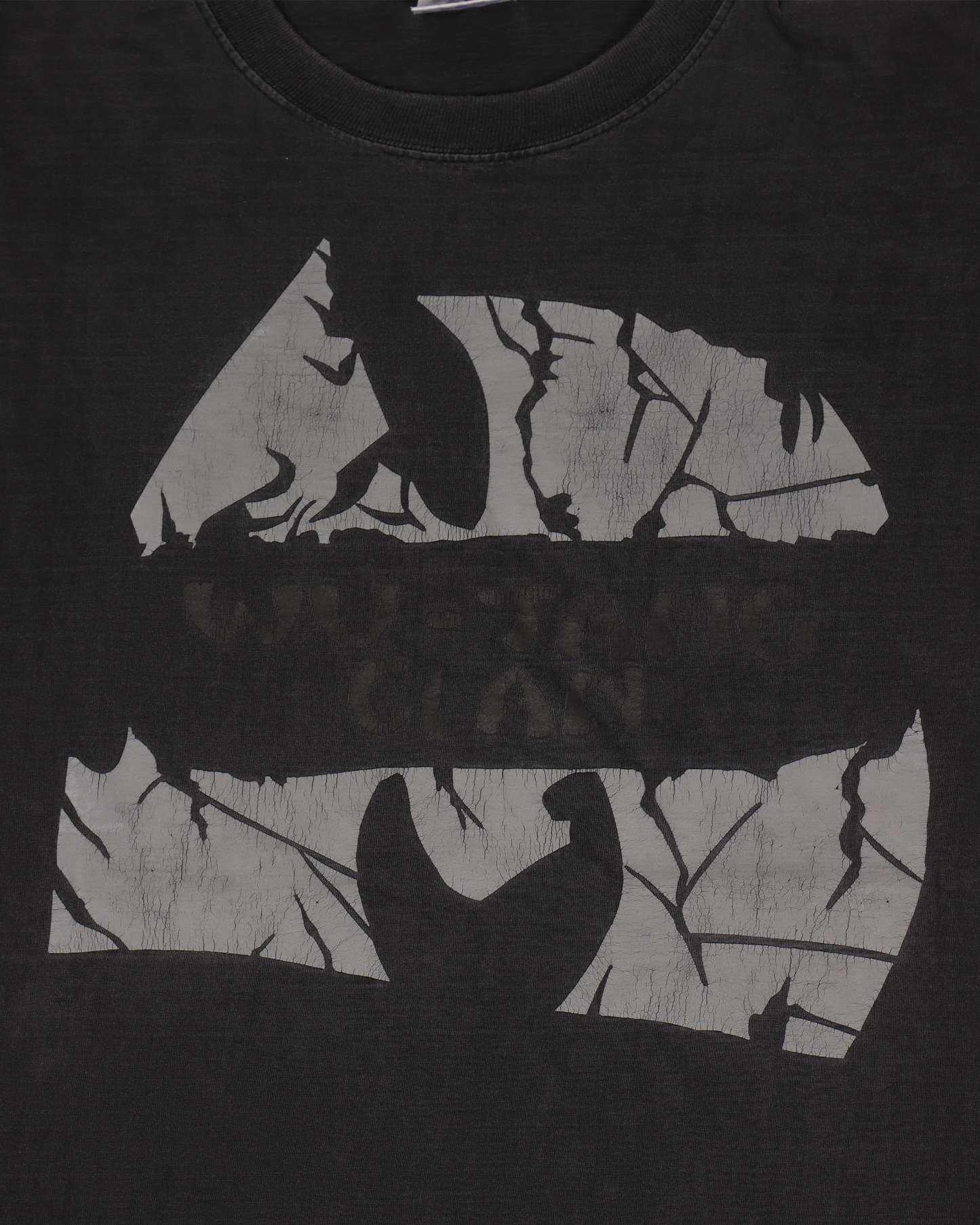 Wu-Tang Clan Faded Euro Logo T-Shirt