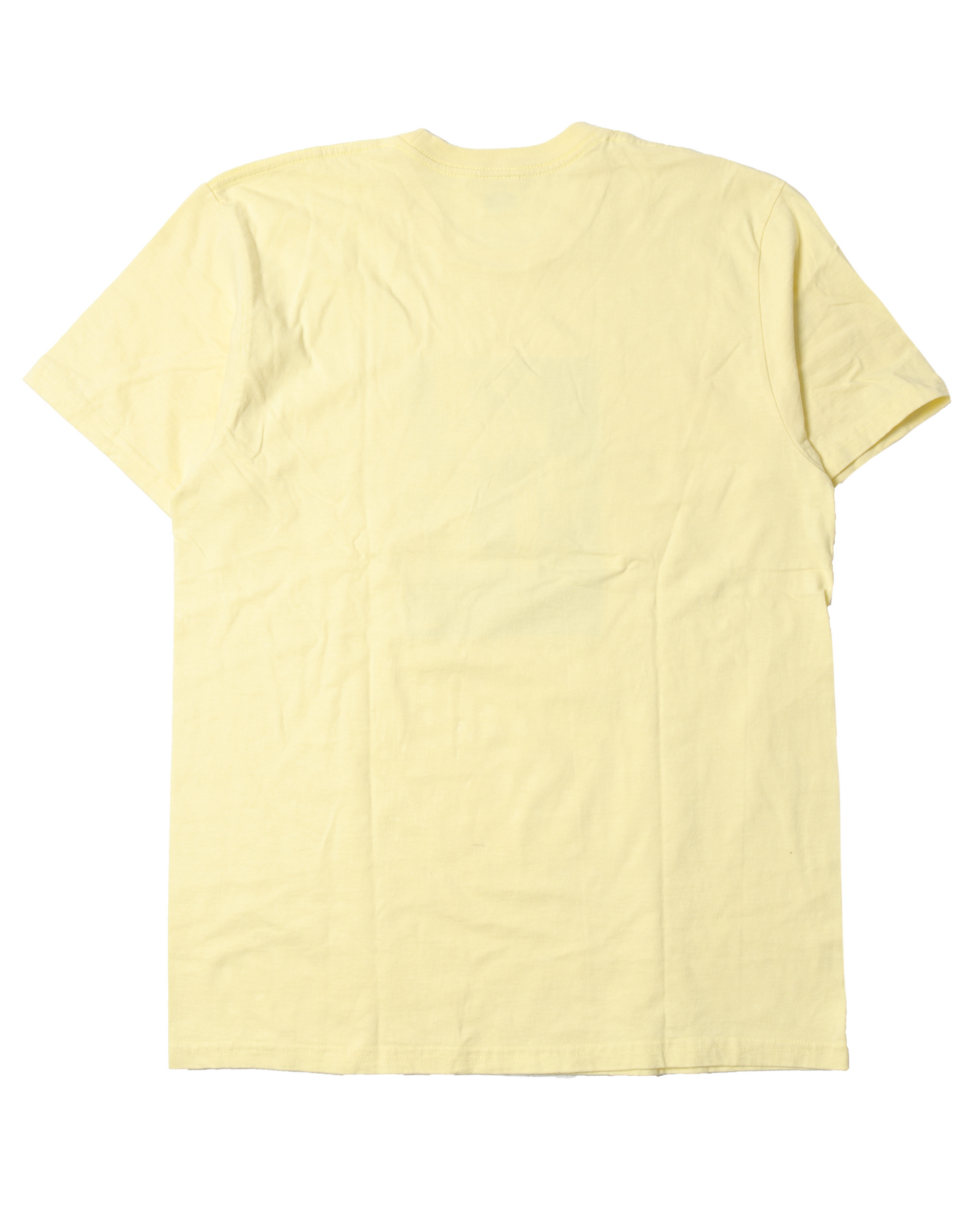 Nane Goldin T-shirt