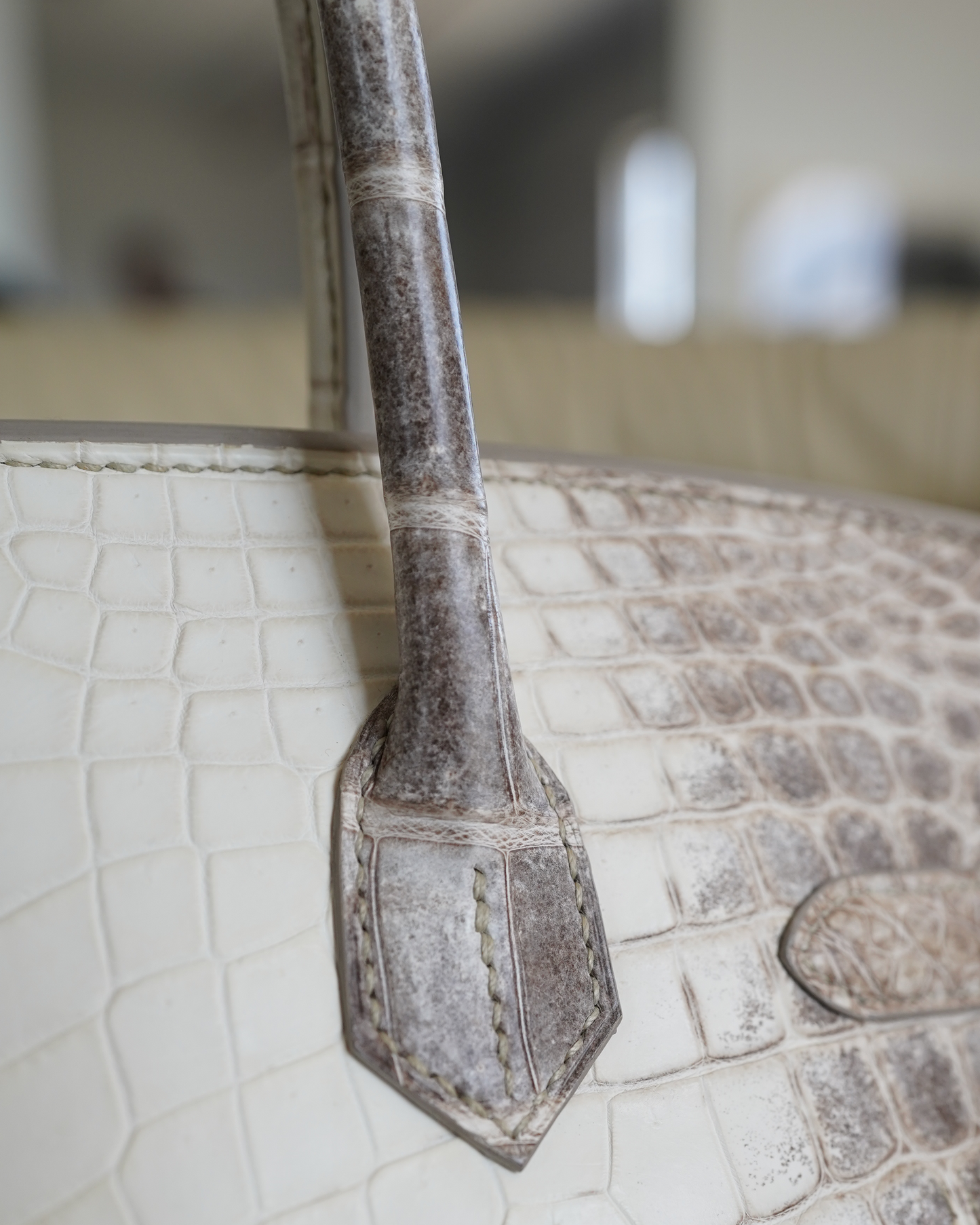 Birkin Himalayan Crocodile Matte 30 White/Brown