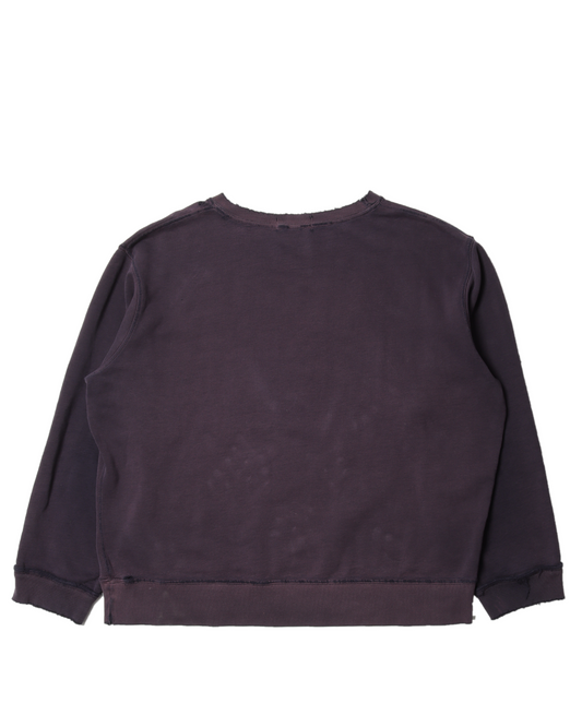 Polo by Ralph Lauren Crewneck Sweatshirt
