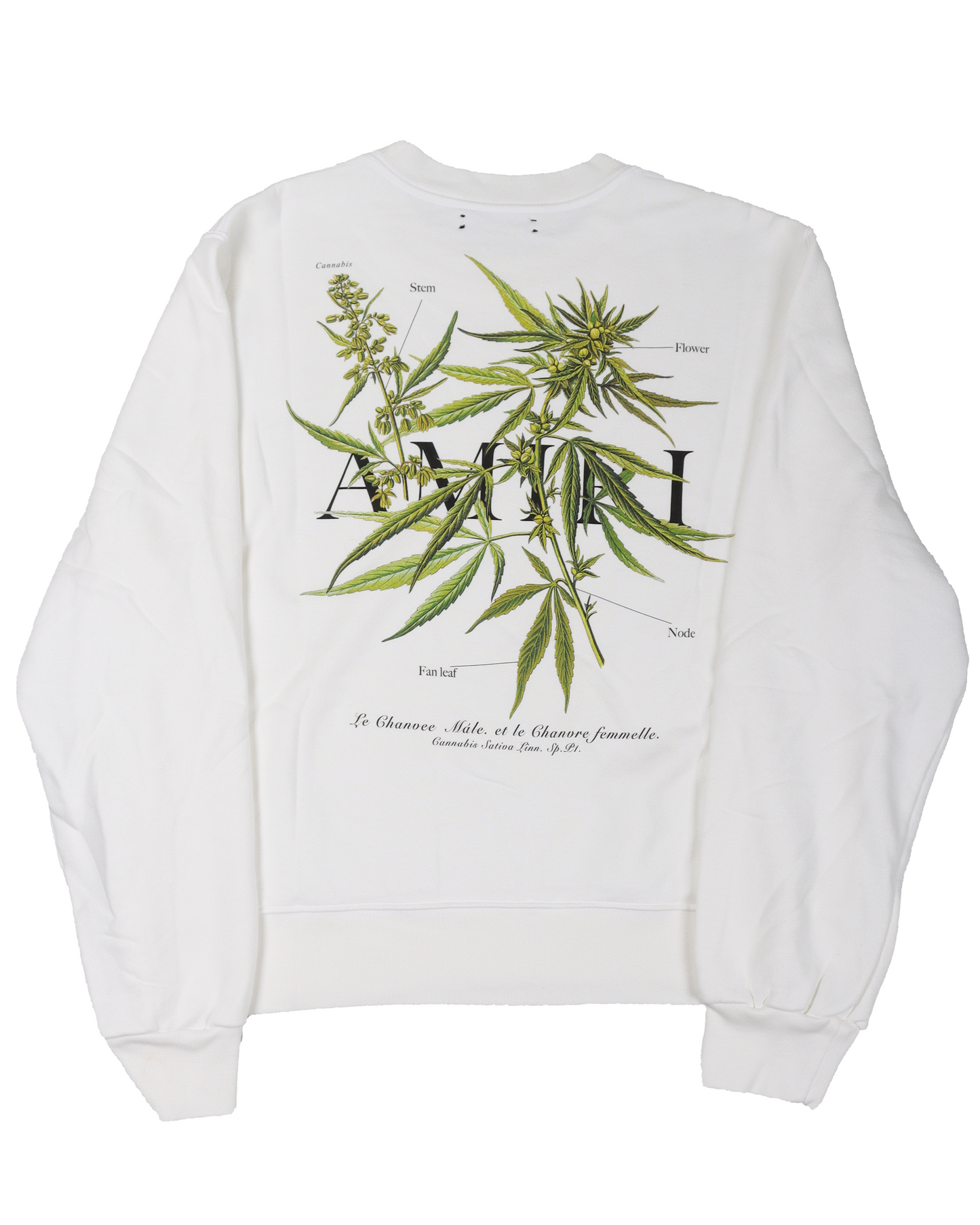 Medical Hemp Print Jersey Sweatshirt