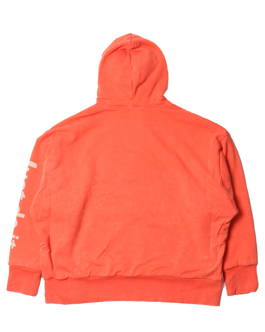 Cactus Plant Flea Market Double Layered Hoodie