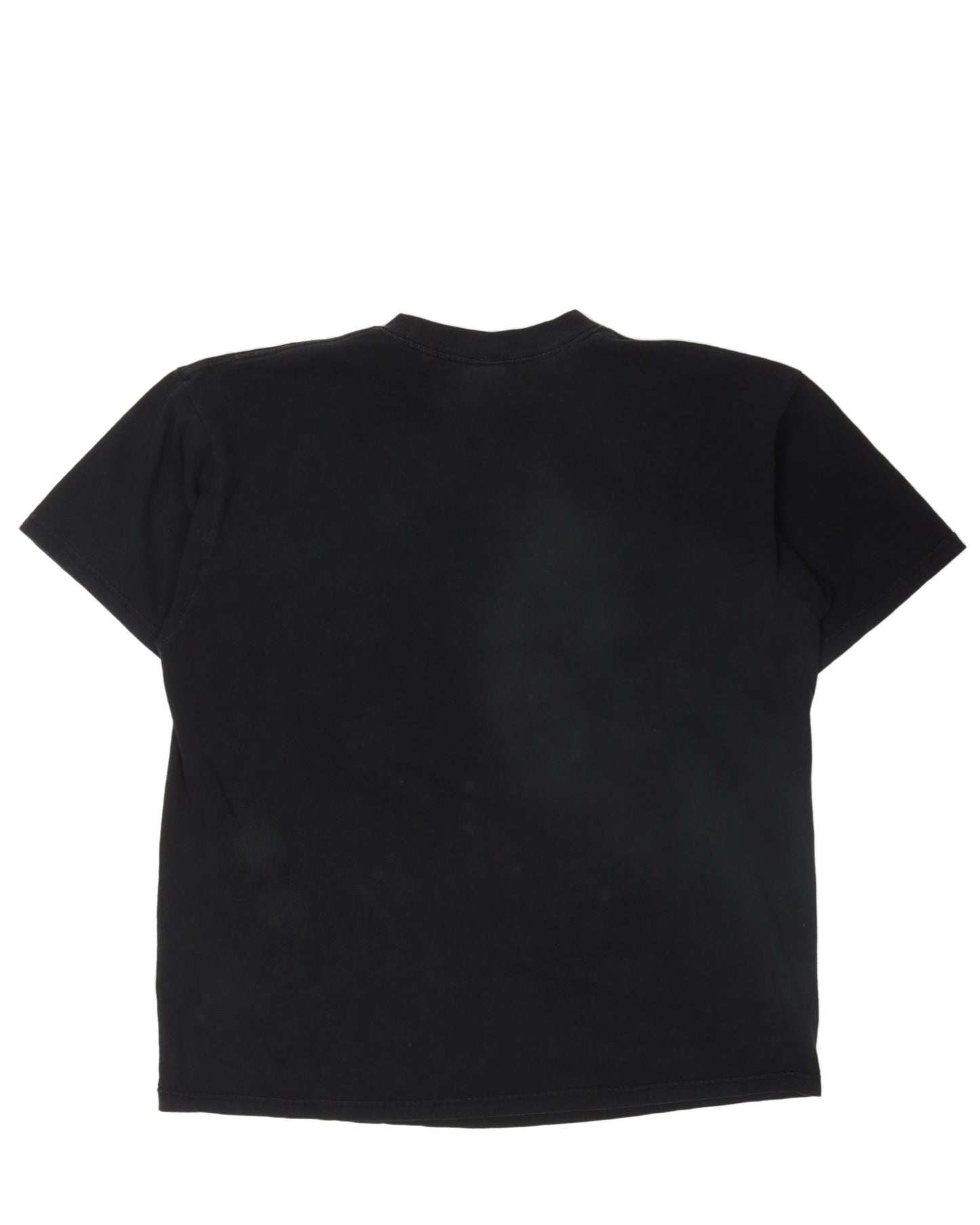 I Survived Jurassic Ride T-Shirt