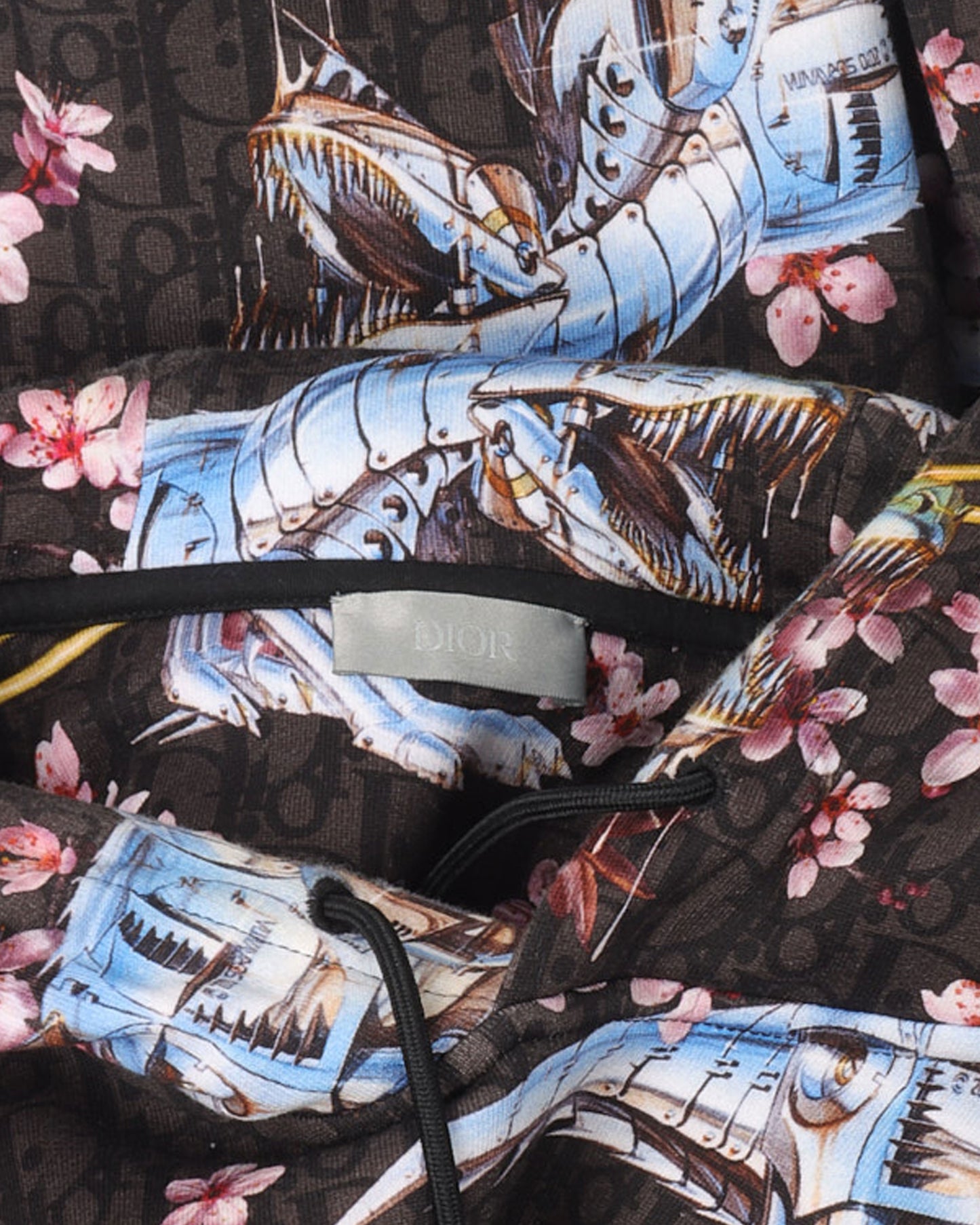 Sorayama Dinosaur Cherry Blossom Hoodie