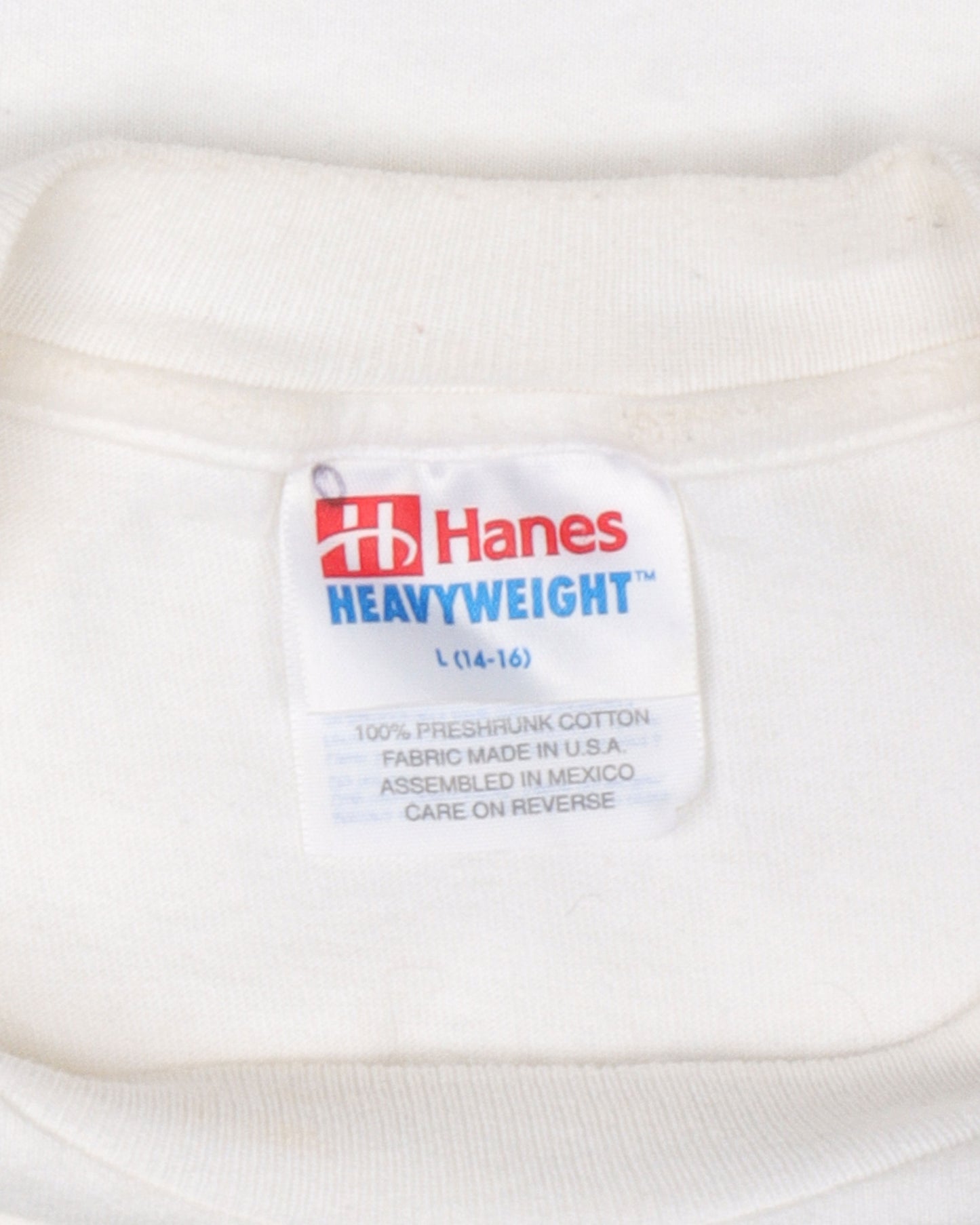 Boy Jesus and His Dog T-shirt