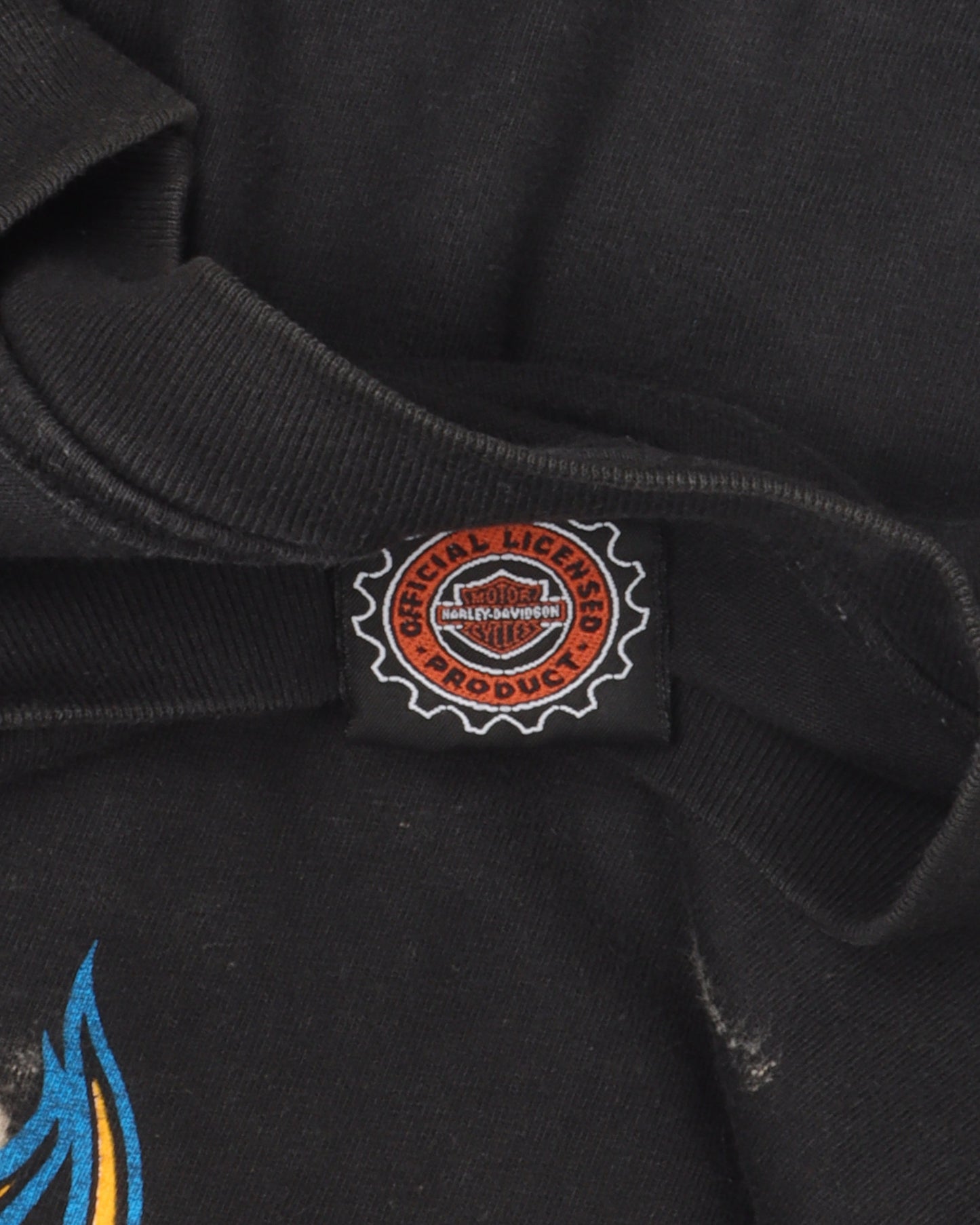 Harley Davidson Eagle Flame Long Sleeve T-Shirt