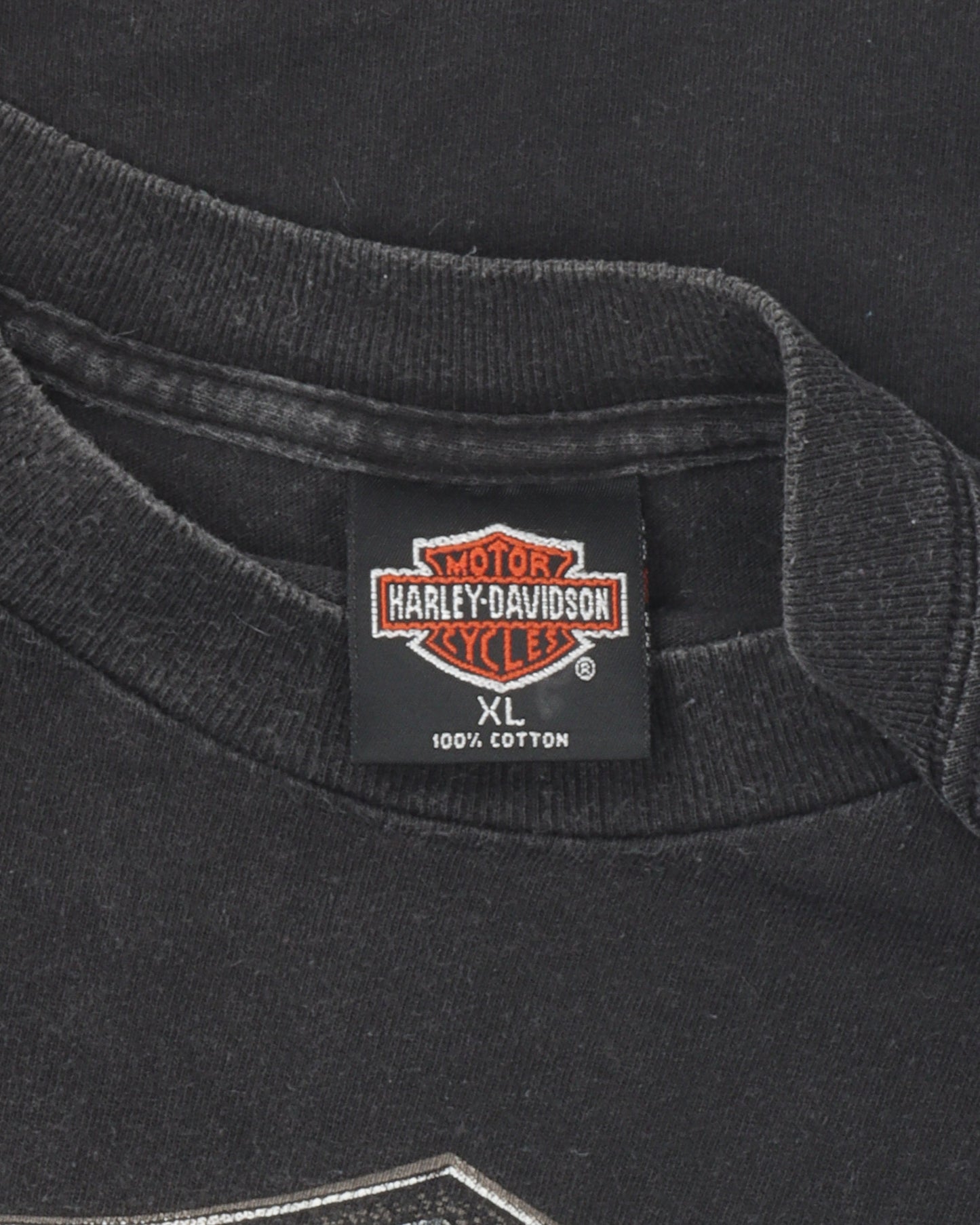 Harley Davidson Blue Flame Sleeve Long Sleeve T-Shirt